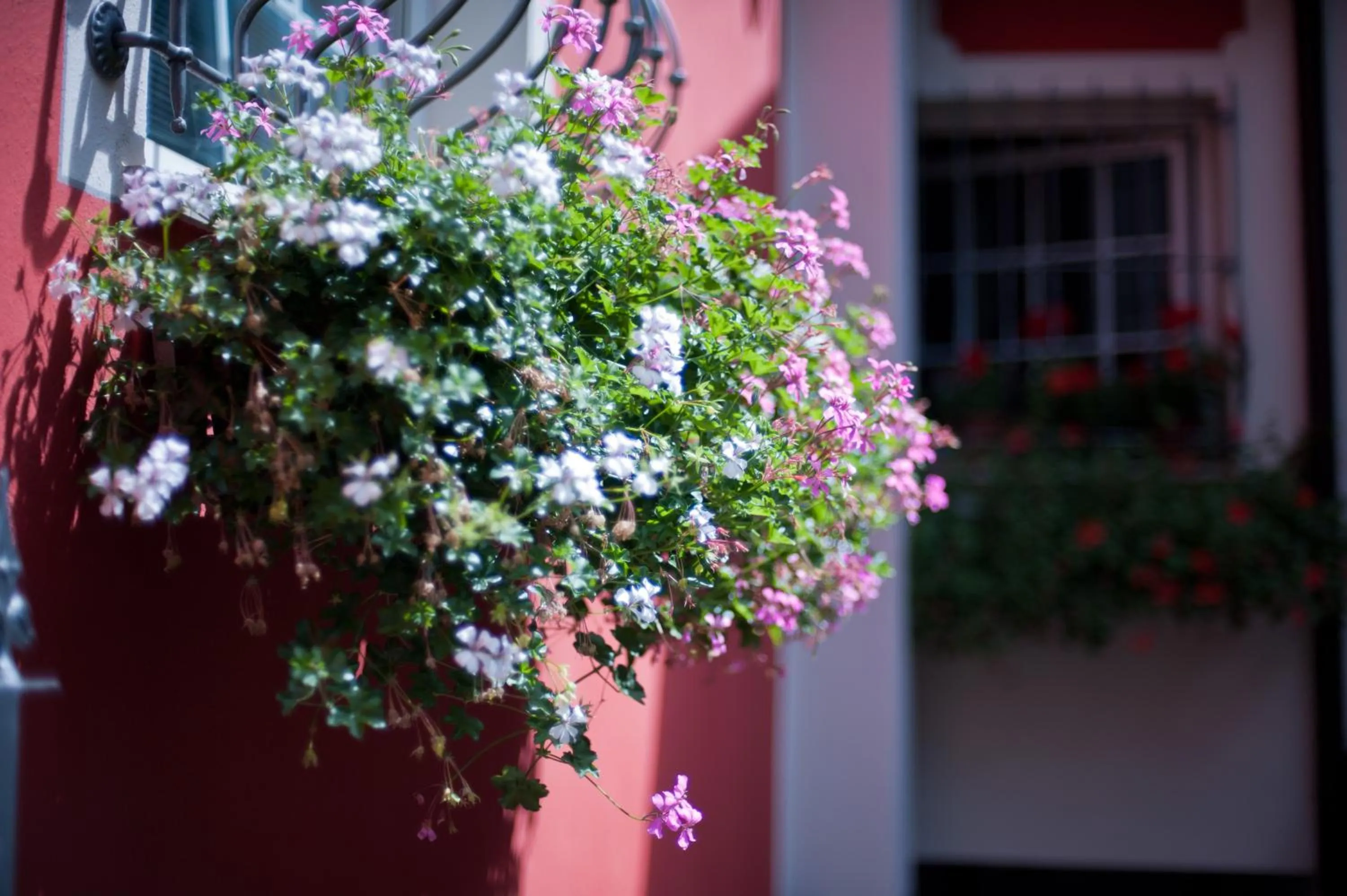 Property building in B&B Il Pettirosso