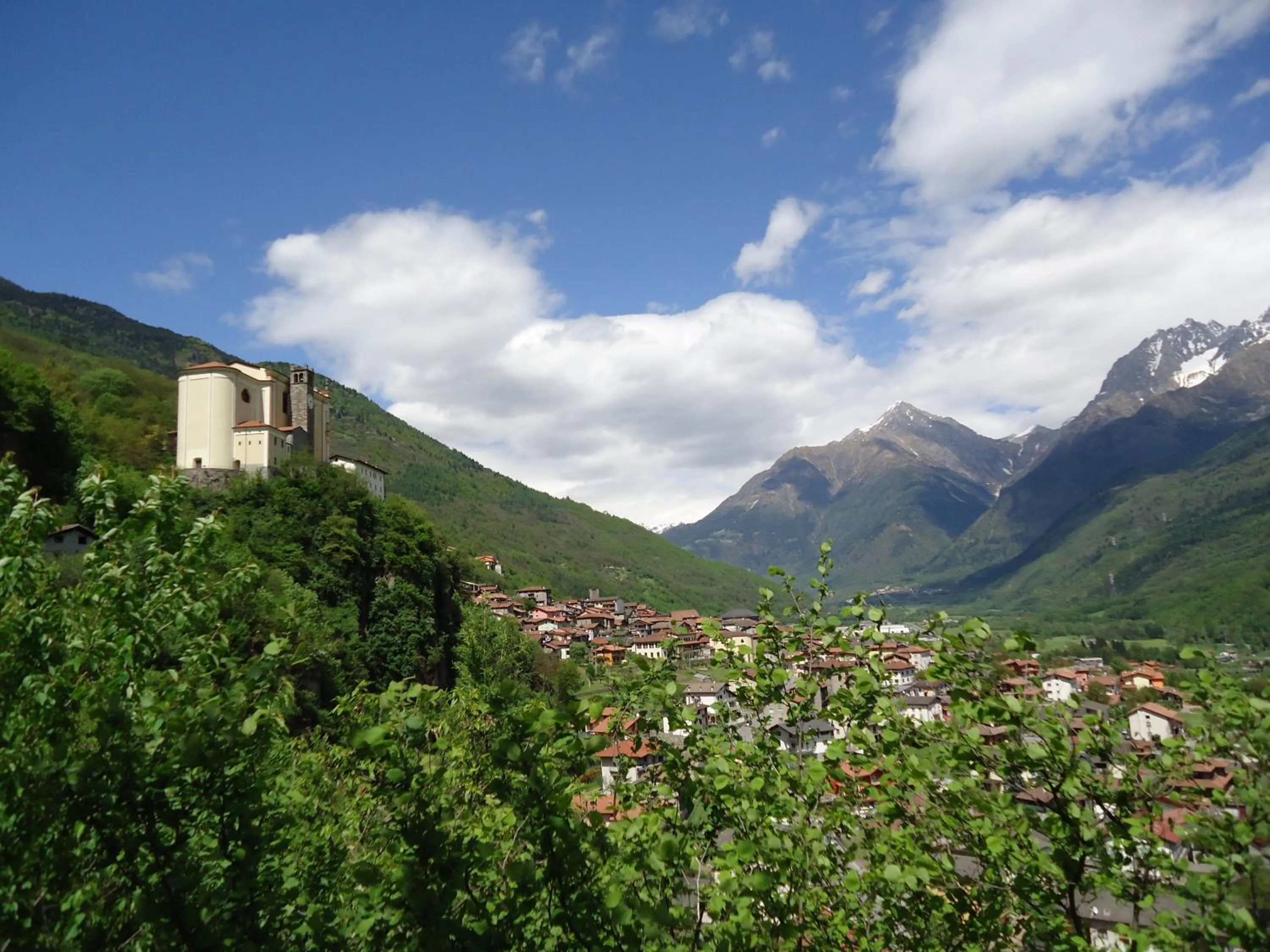 View (from property/room) in B&B Il Pettirosso