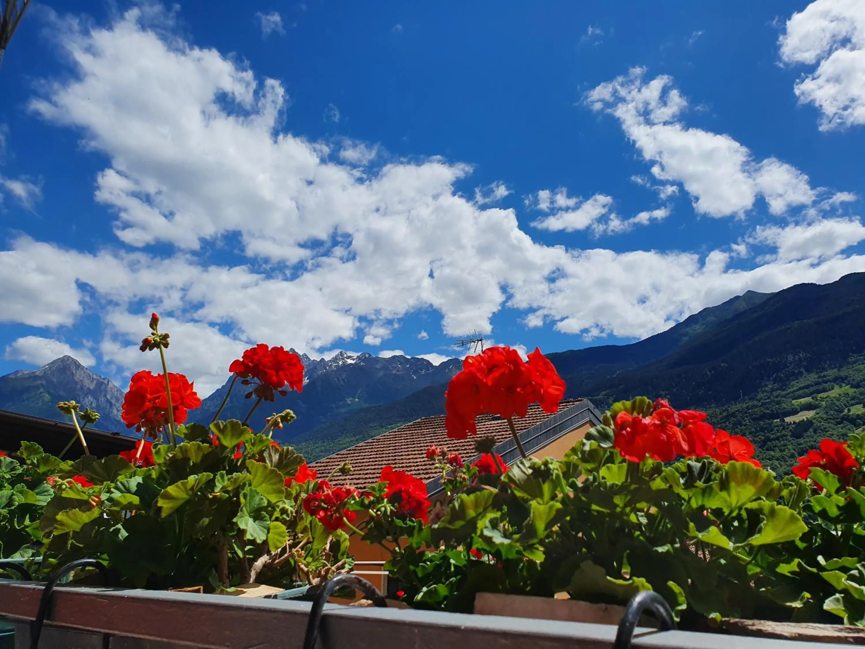 Mountain view in B&B Il Pettirosso