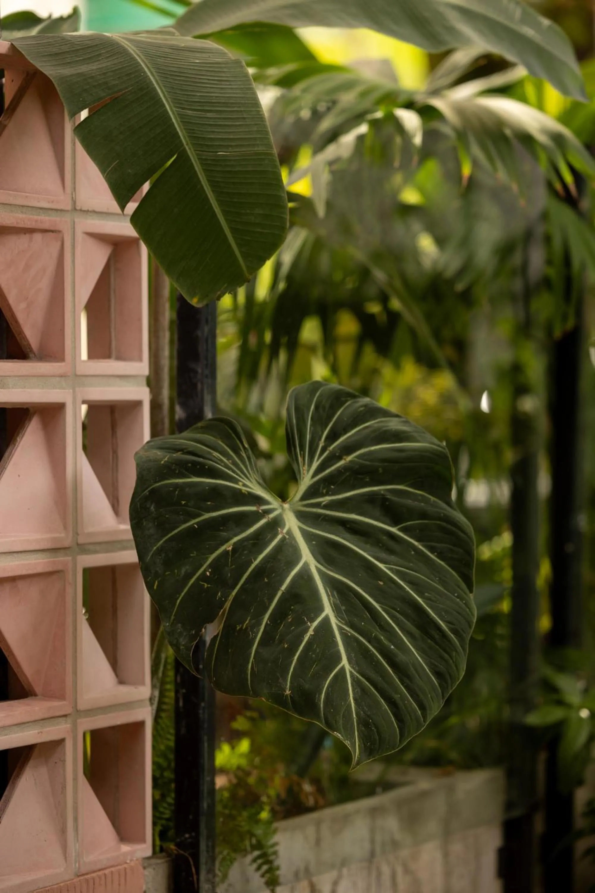 Garden in Sui Boutique Hotel