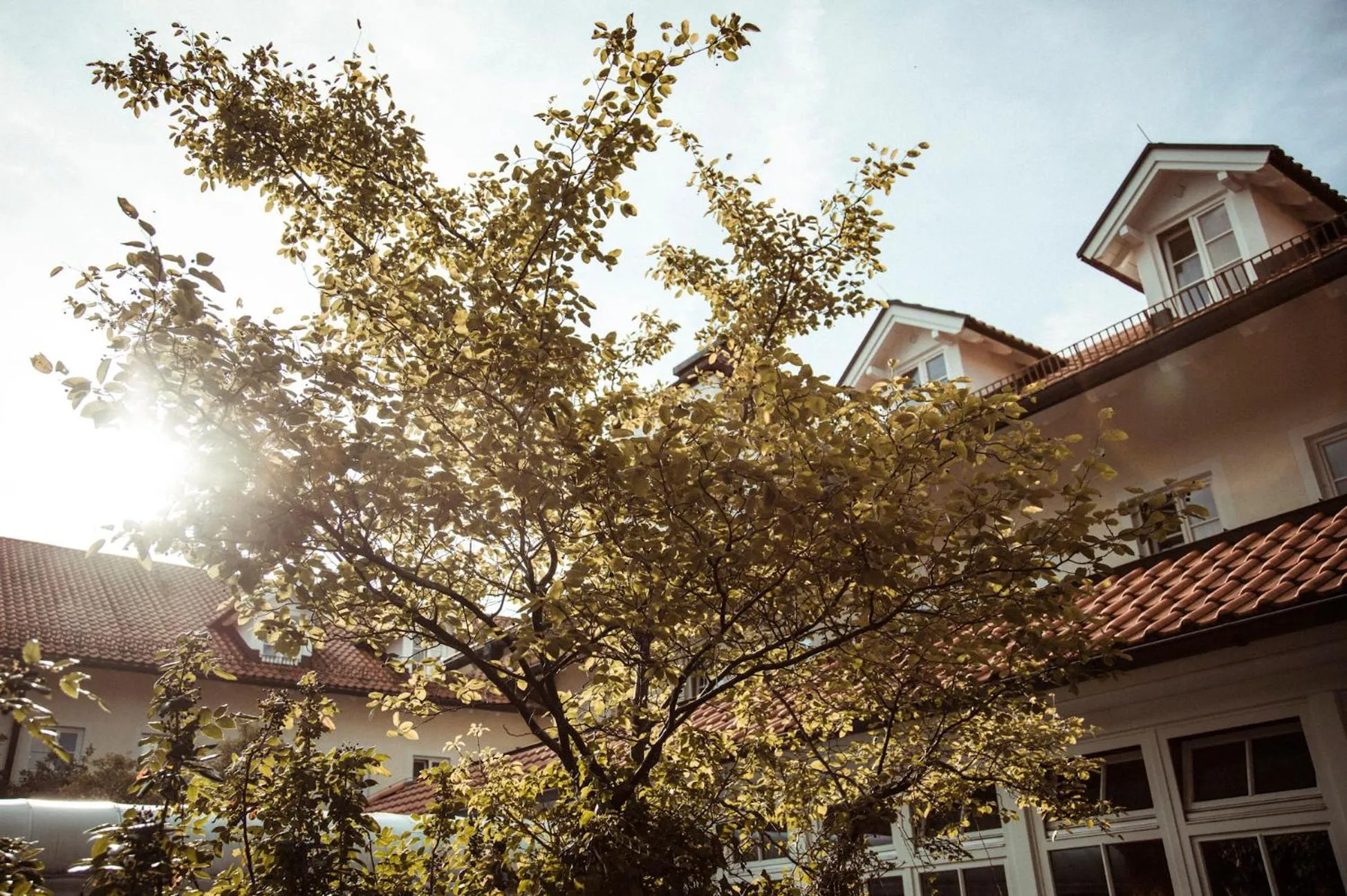Garden in Hotel Limmerhof