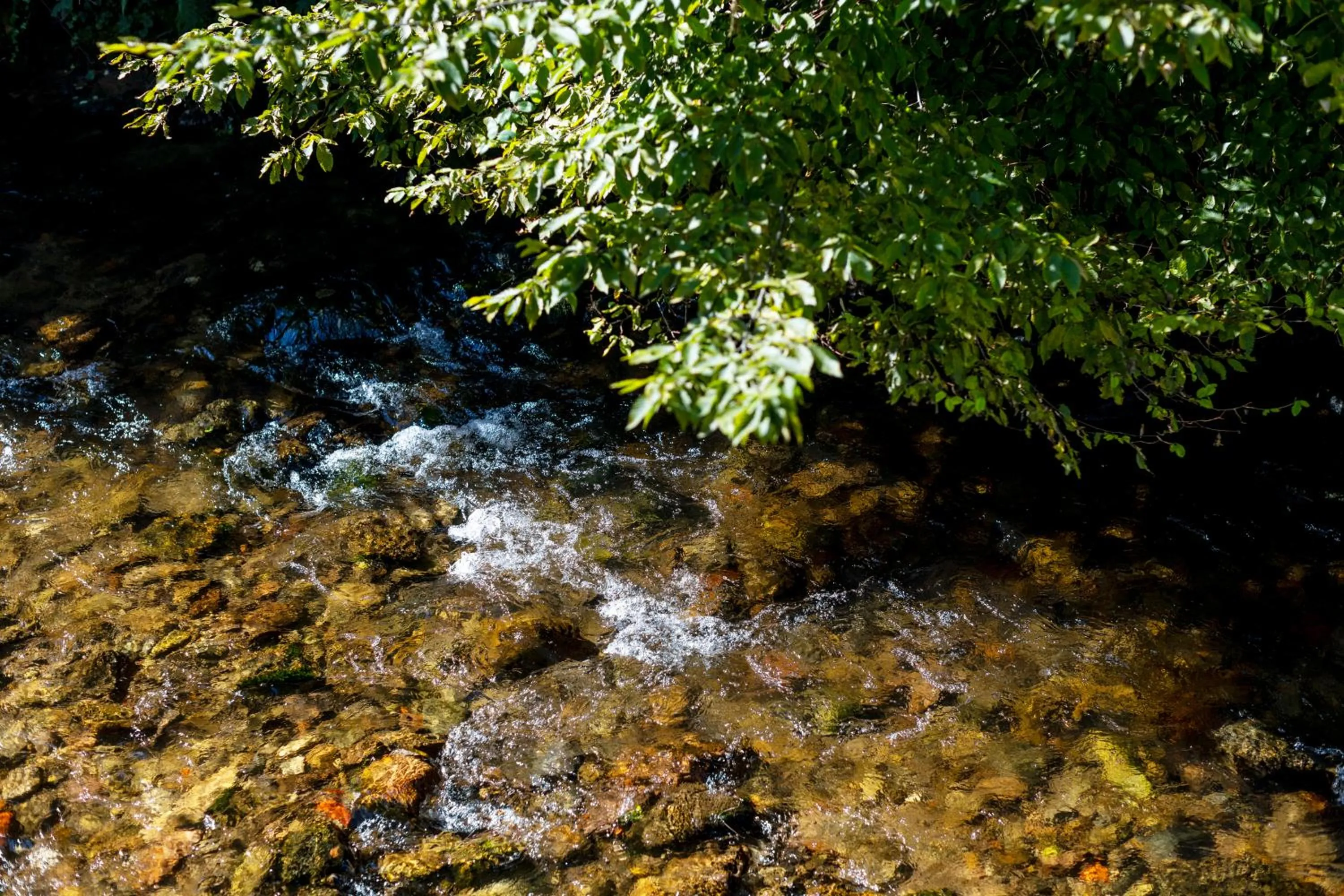 River view in schlossmühle - lean luxury boutique hotel