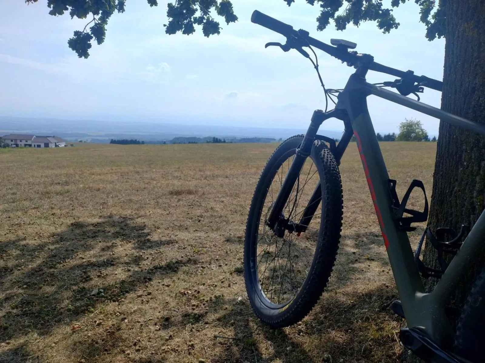 Sports in Best Western Parkhotel Hagenberg