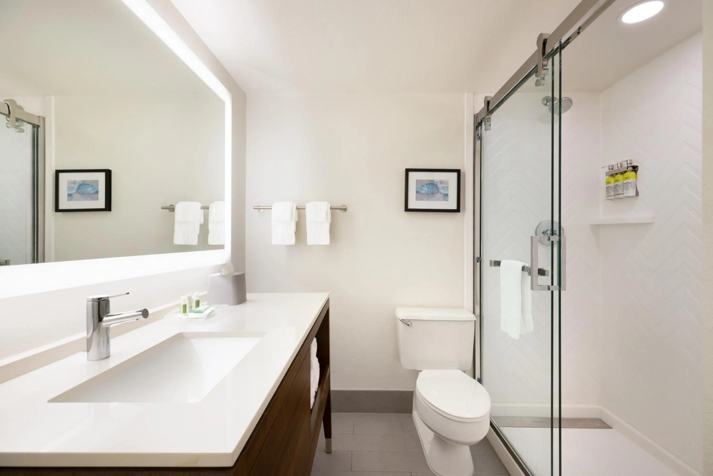 Bathroom in Doubletree By Hilton Fort Worth South