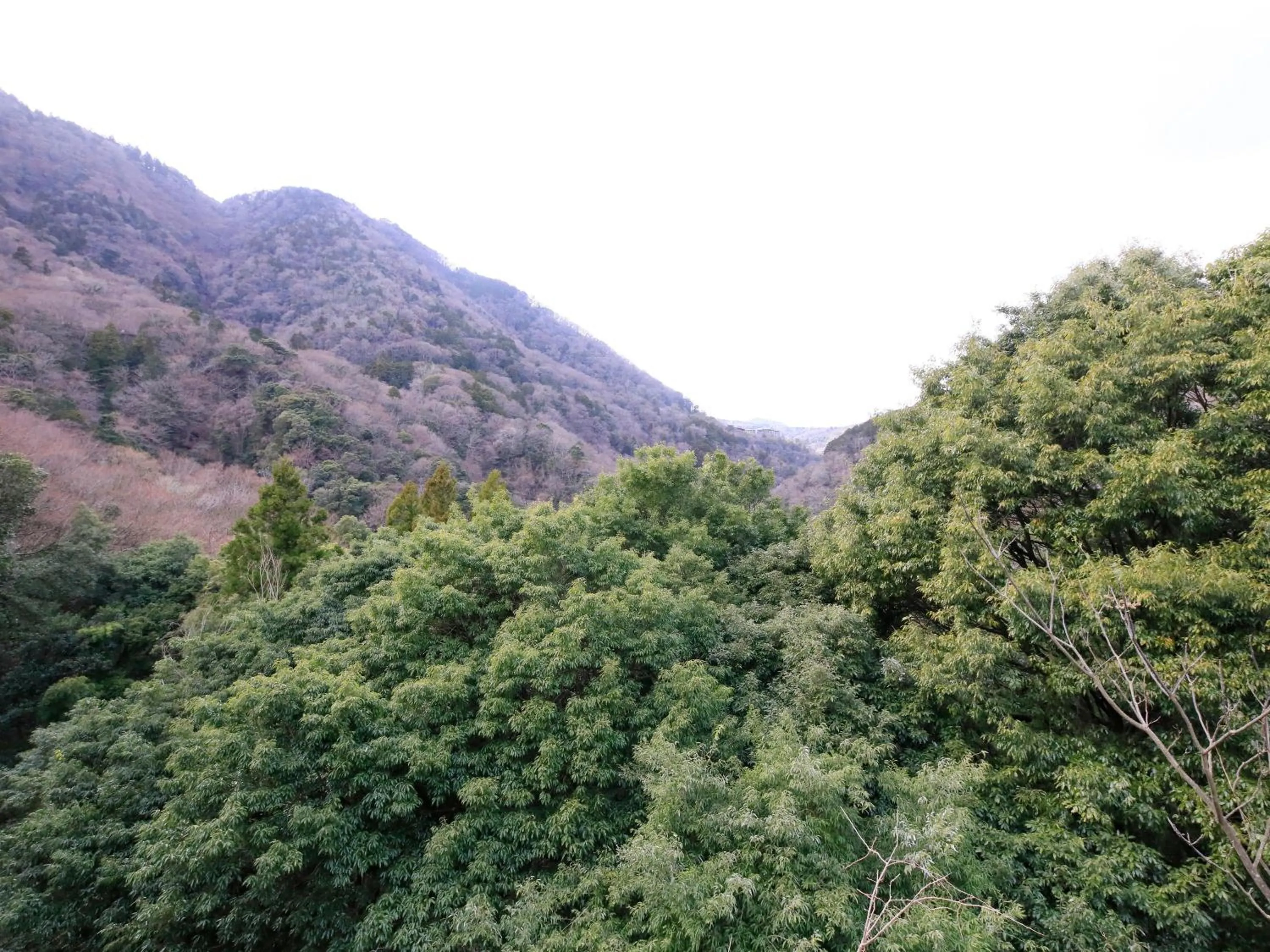 Mountain view in Hot Spring Inn Hakone Suisen