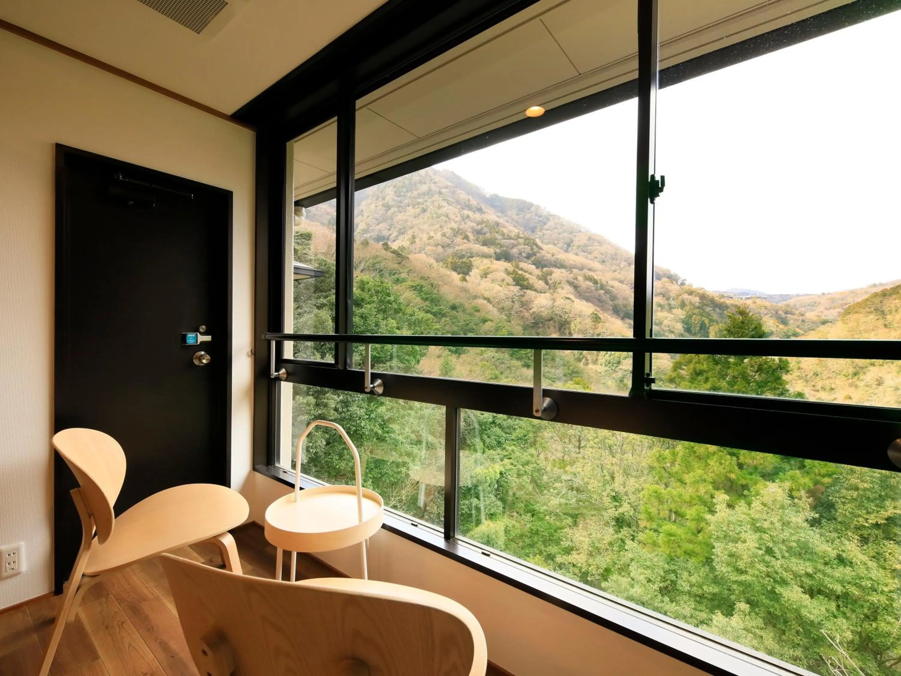 Mountain view in Hot Spring Inn Hakone Suisen