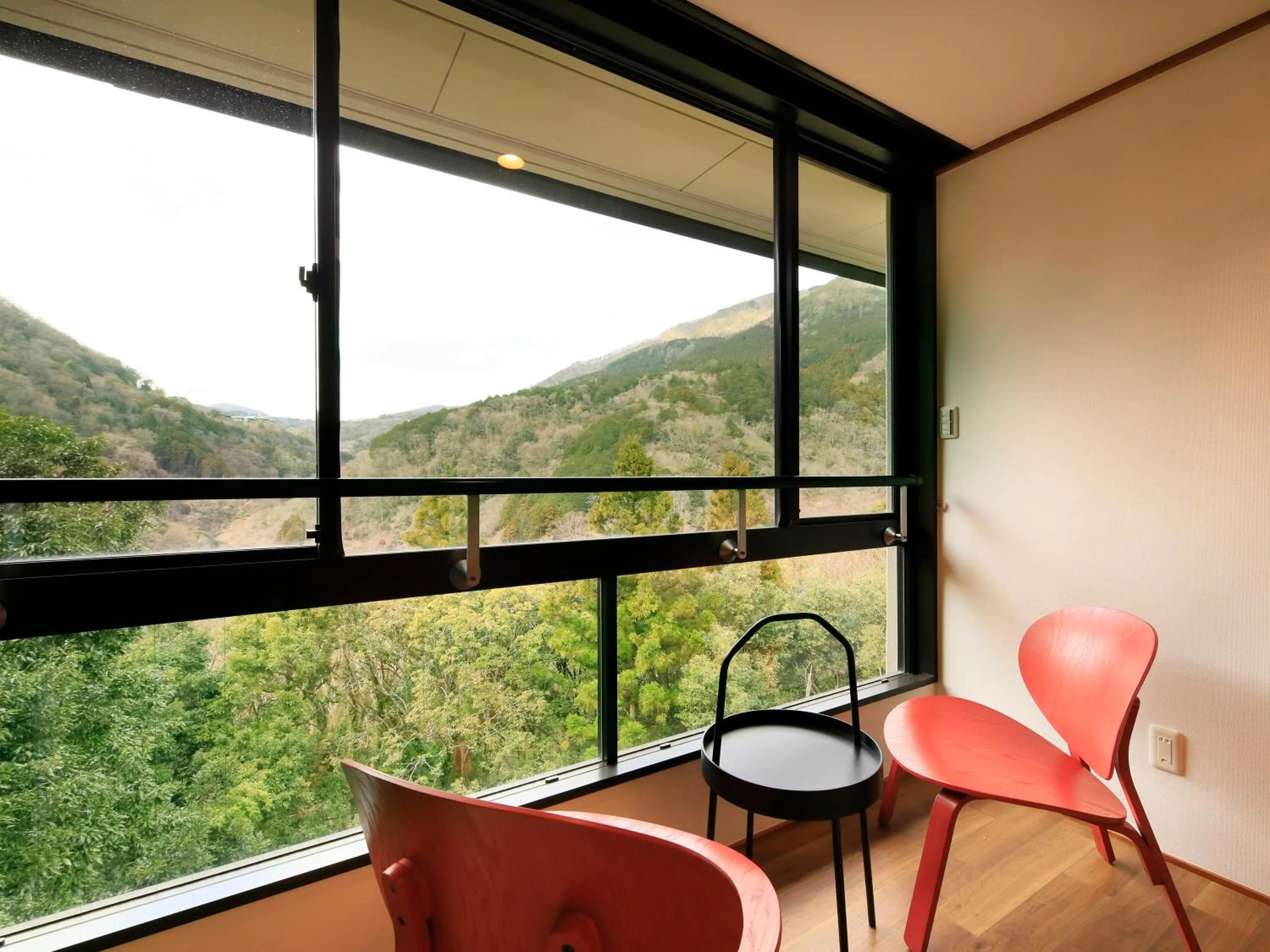 Photo of the whole room in Hot Spring Inn Hakone Suisen