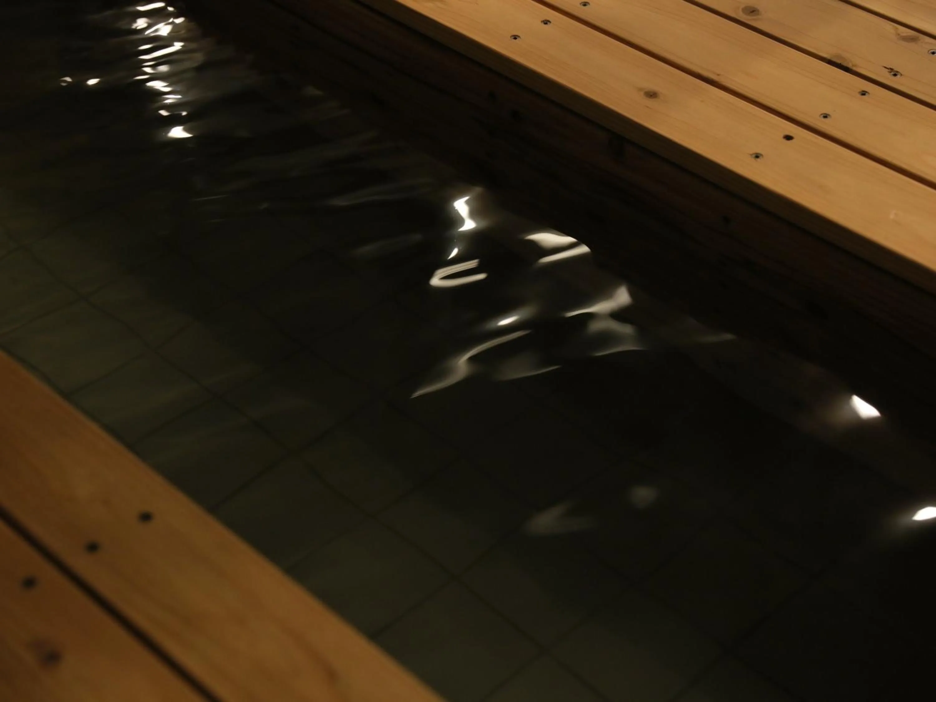 Hot Spring Bath in Hot Spring Inn Hakone Suisen