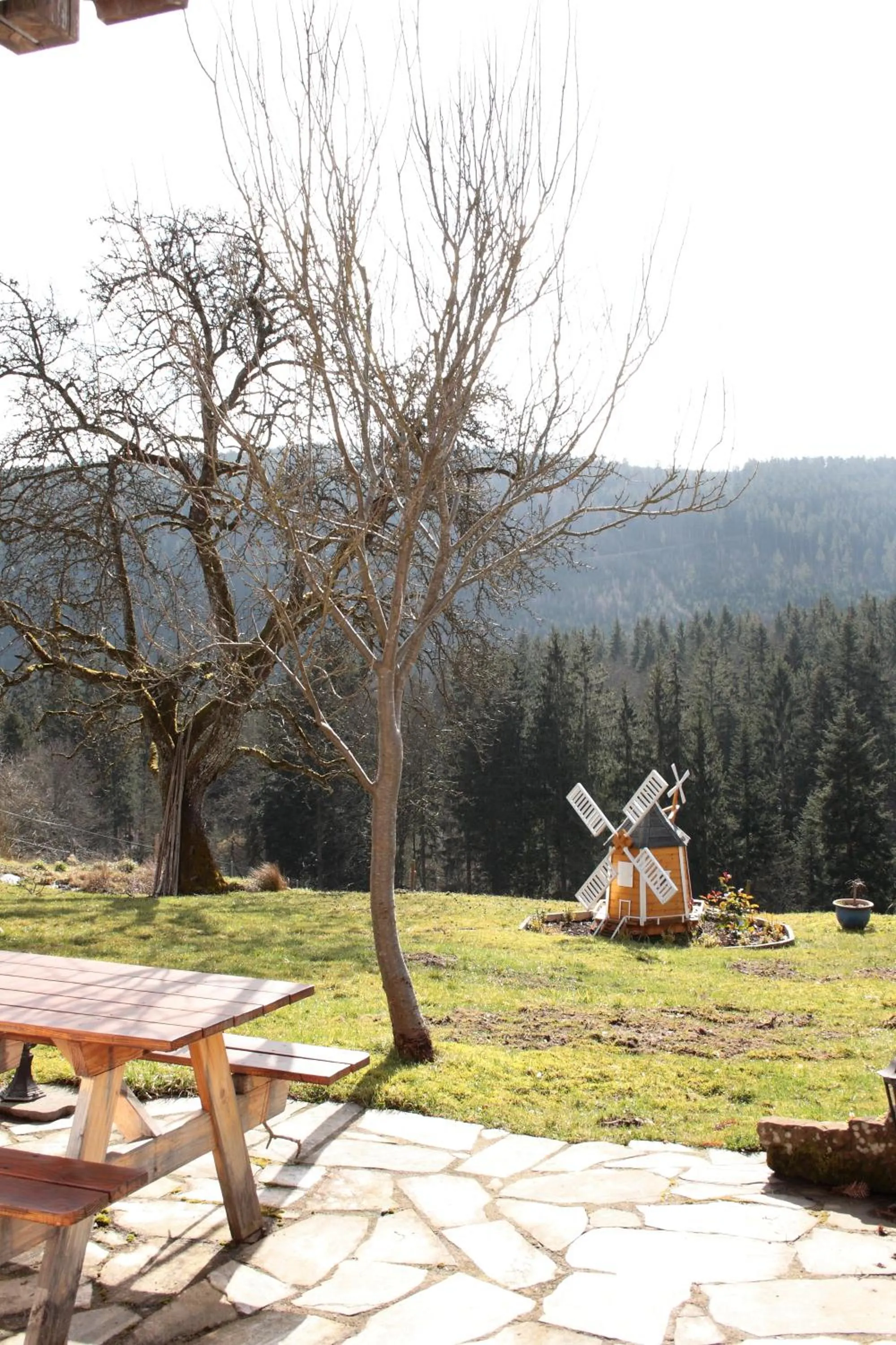 Facade/entrance in Schwarzwald-Gasthof Hirsch