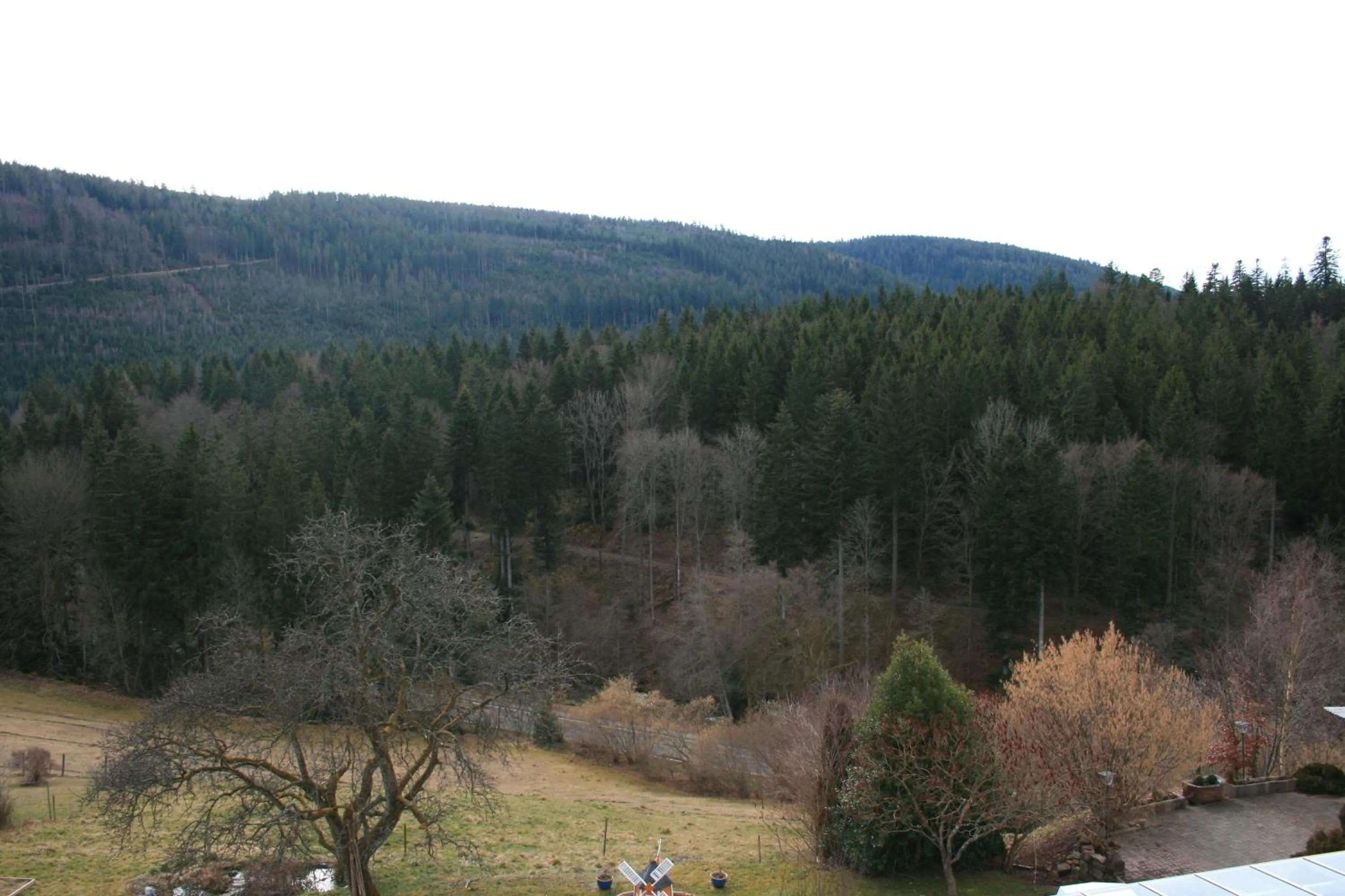 View (from property/room) in Schwarzwald-Gasthof Hirsch