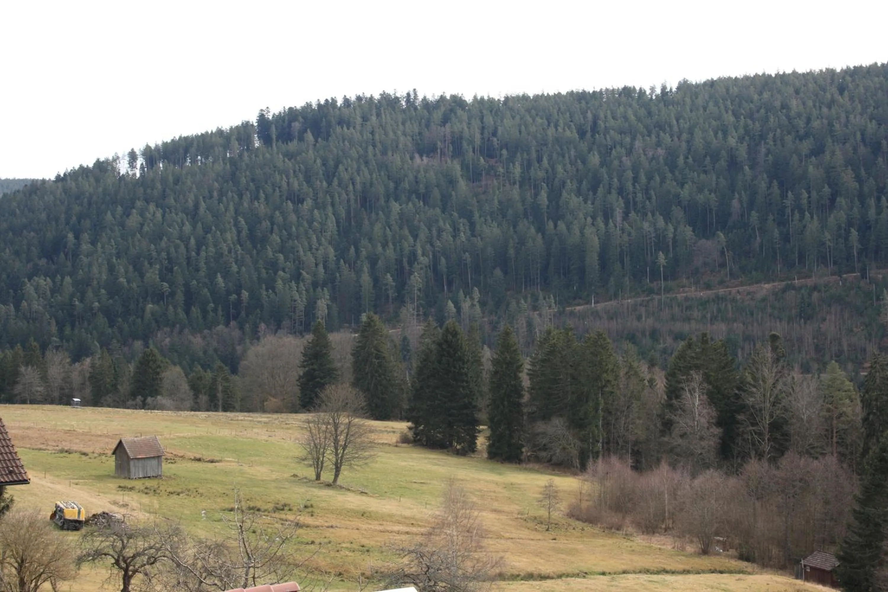 View (from property/room) in Schwarzwald-Gasthof Hirsch