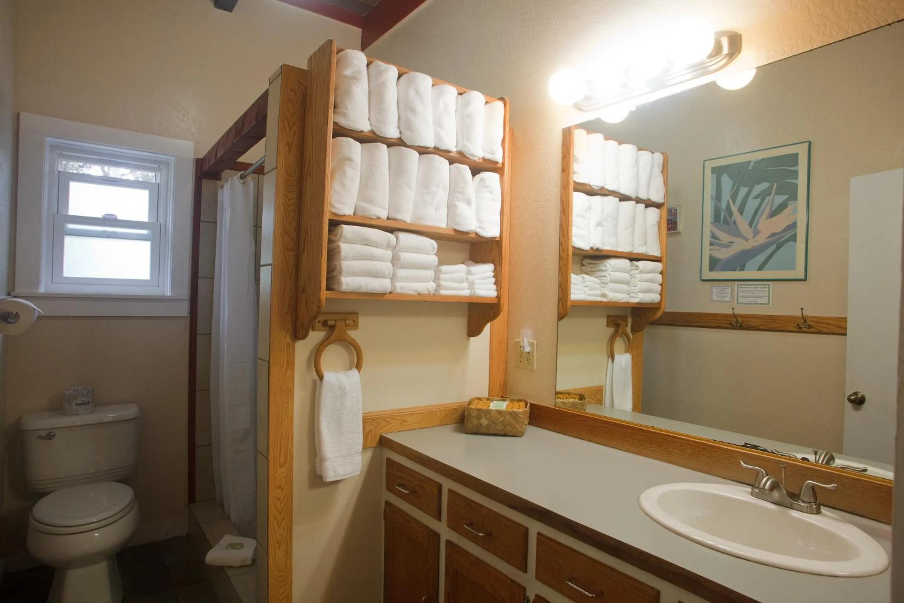 Bathroom in Volcano Hale