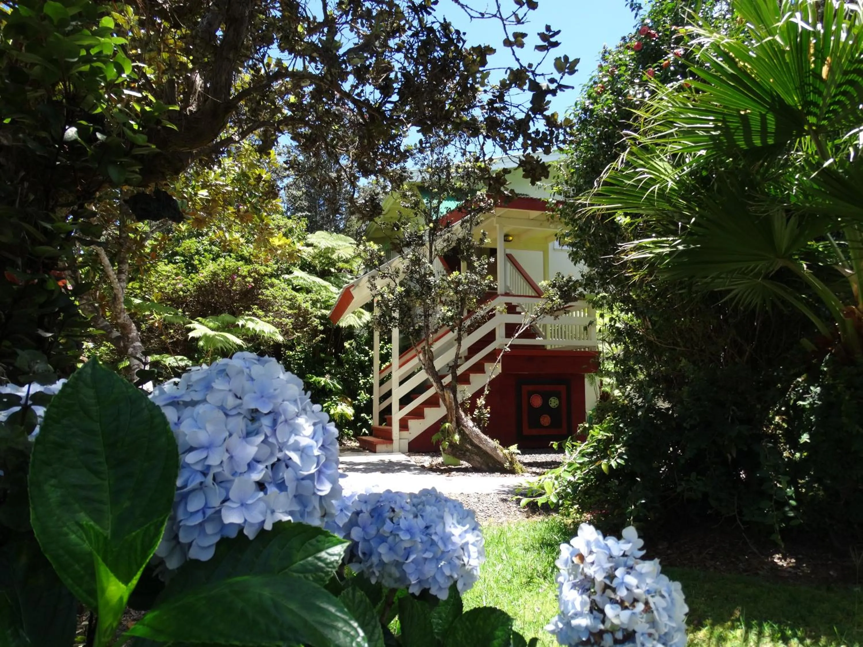 Garden view in Volcano Hale