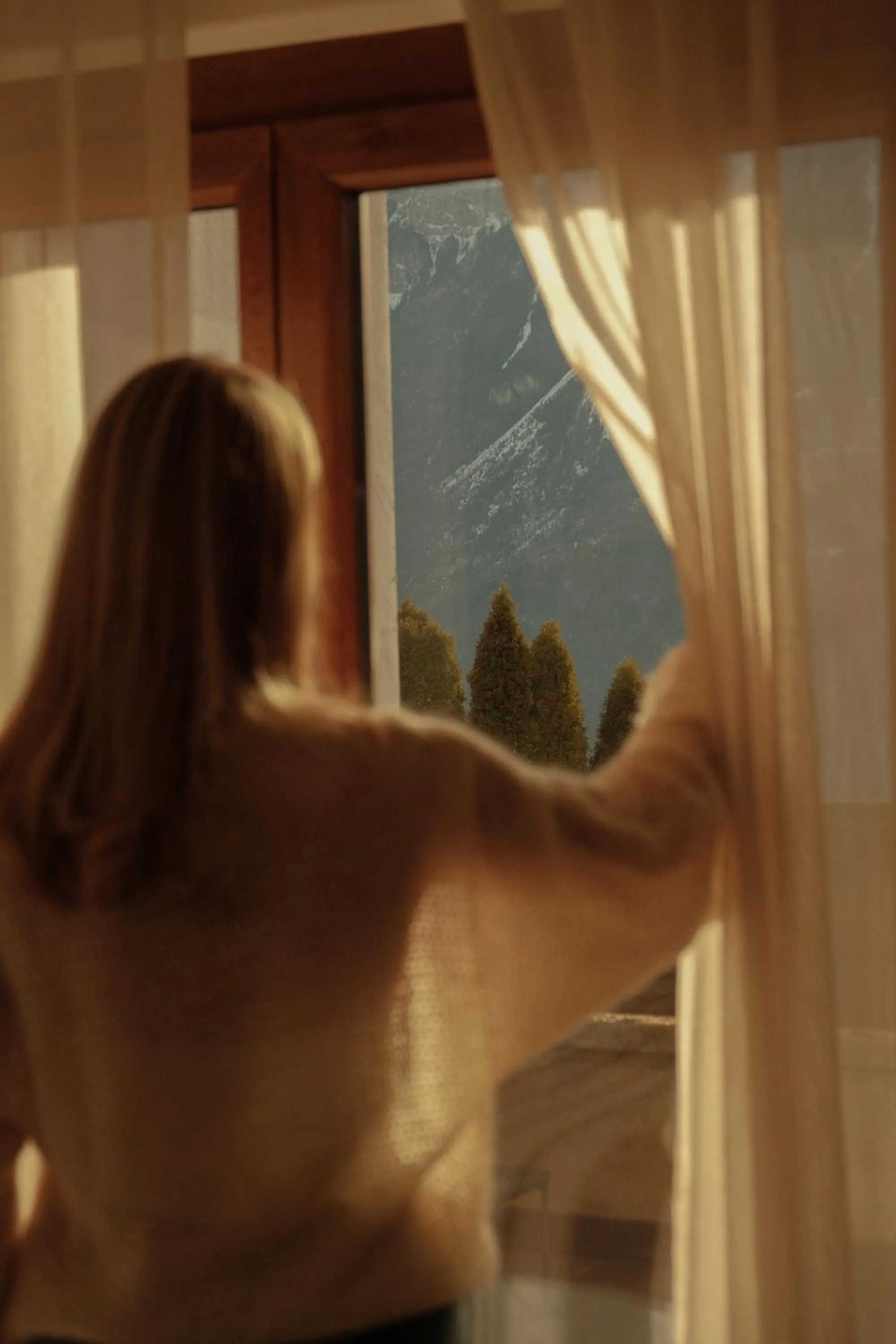 Mountain view in Boutique Hotel Panorama