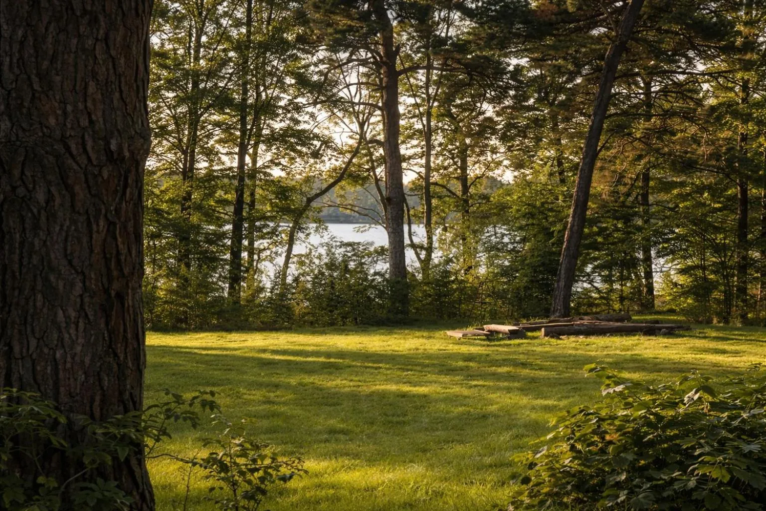 Spring in Apartamenty Leśna Przystań nad jeziorem