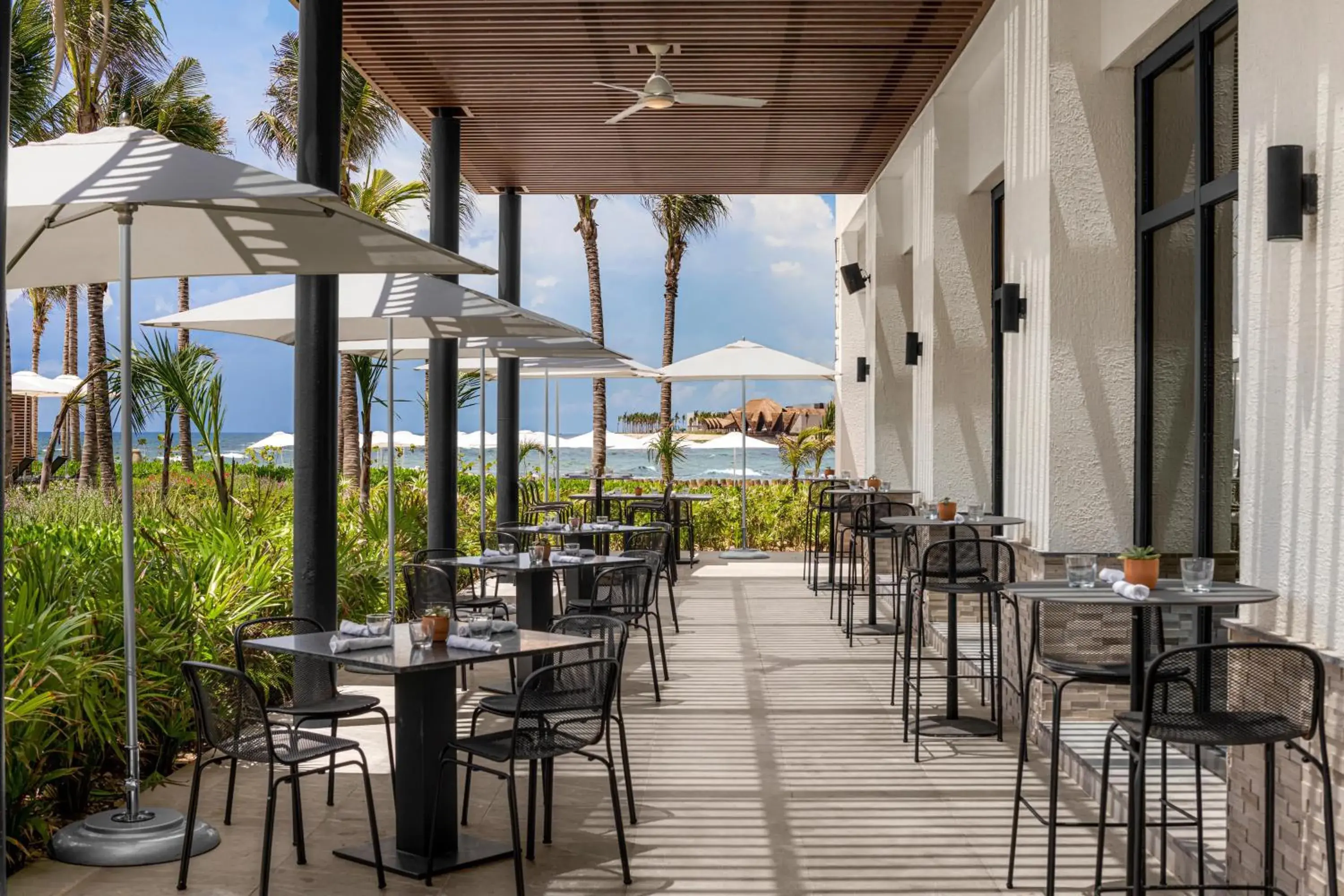 Restaurant/places to eat in Hilton Tulum Riviera Maya All-Inclusive Resort Restaurant/places to eat in Hilton Tulum Riviera Maya All-Inclusive Resort