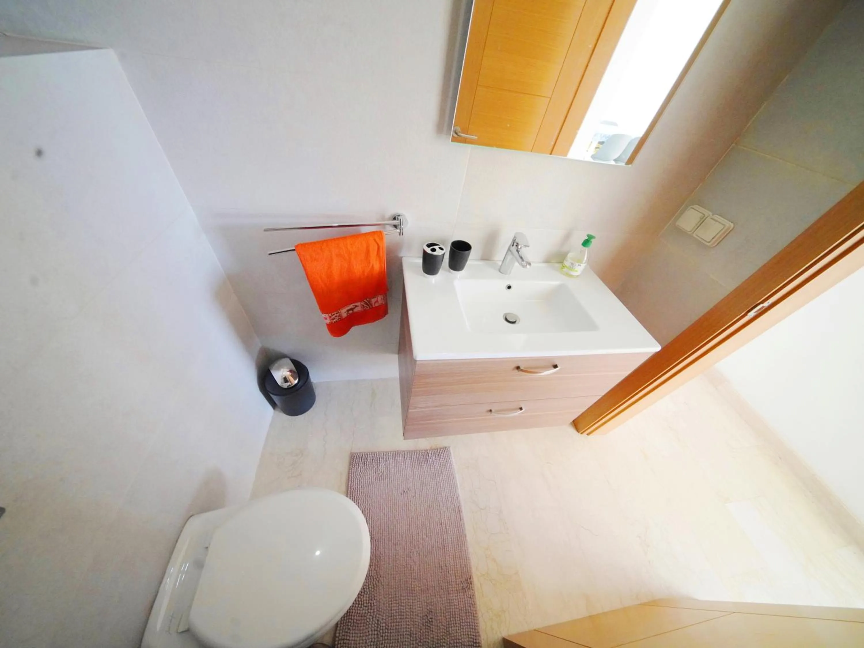 Toilet in Geronticus apartment