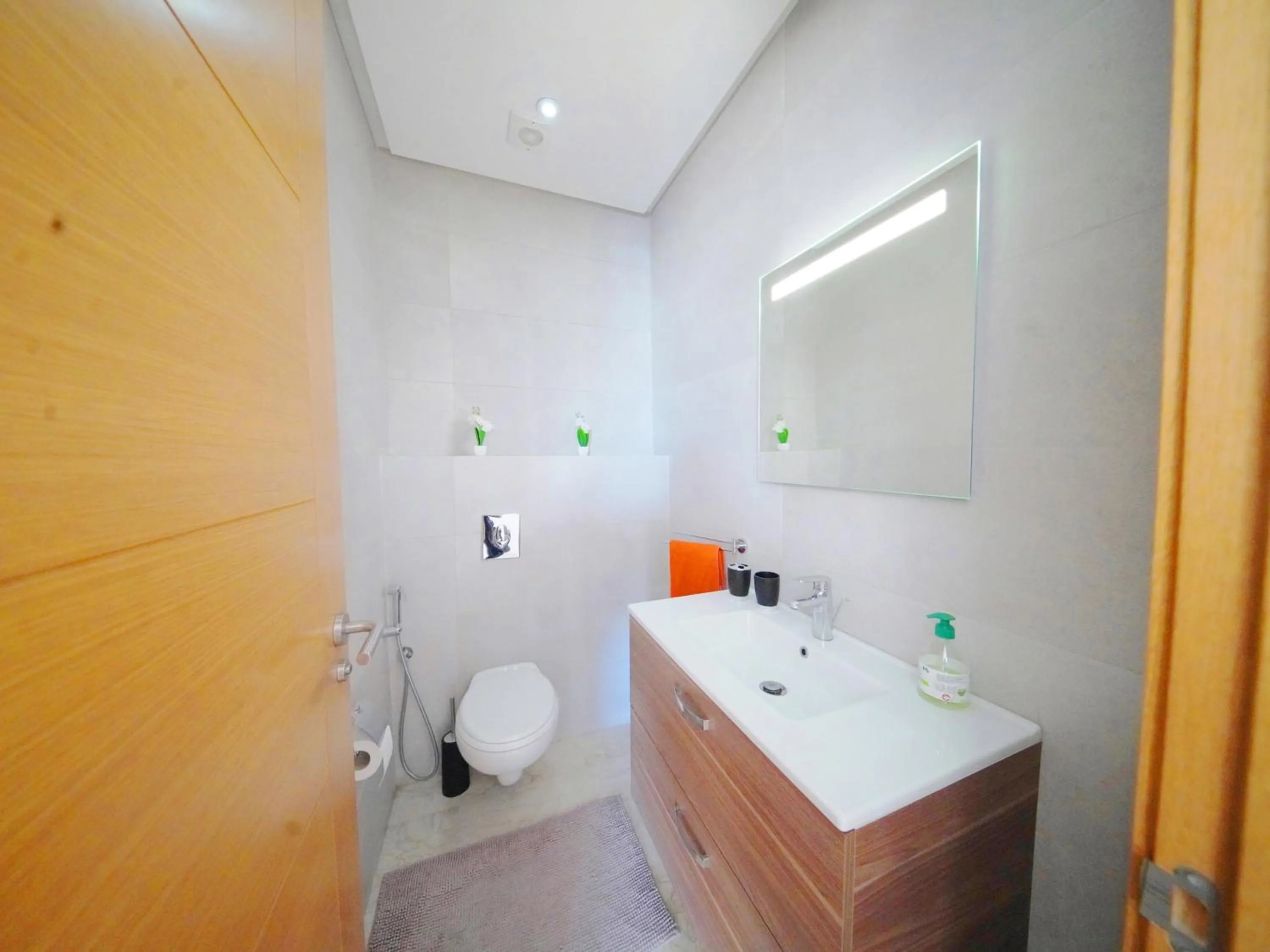 Toilet in Geronticus apartment