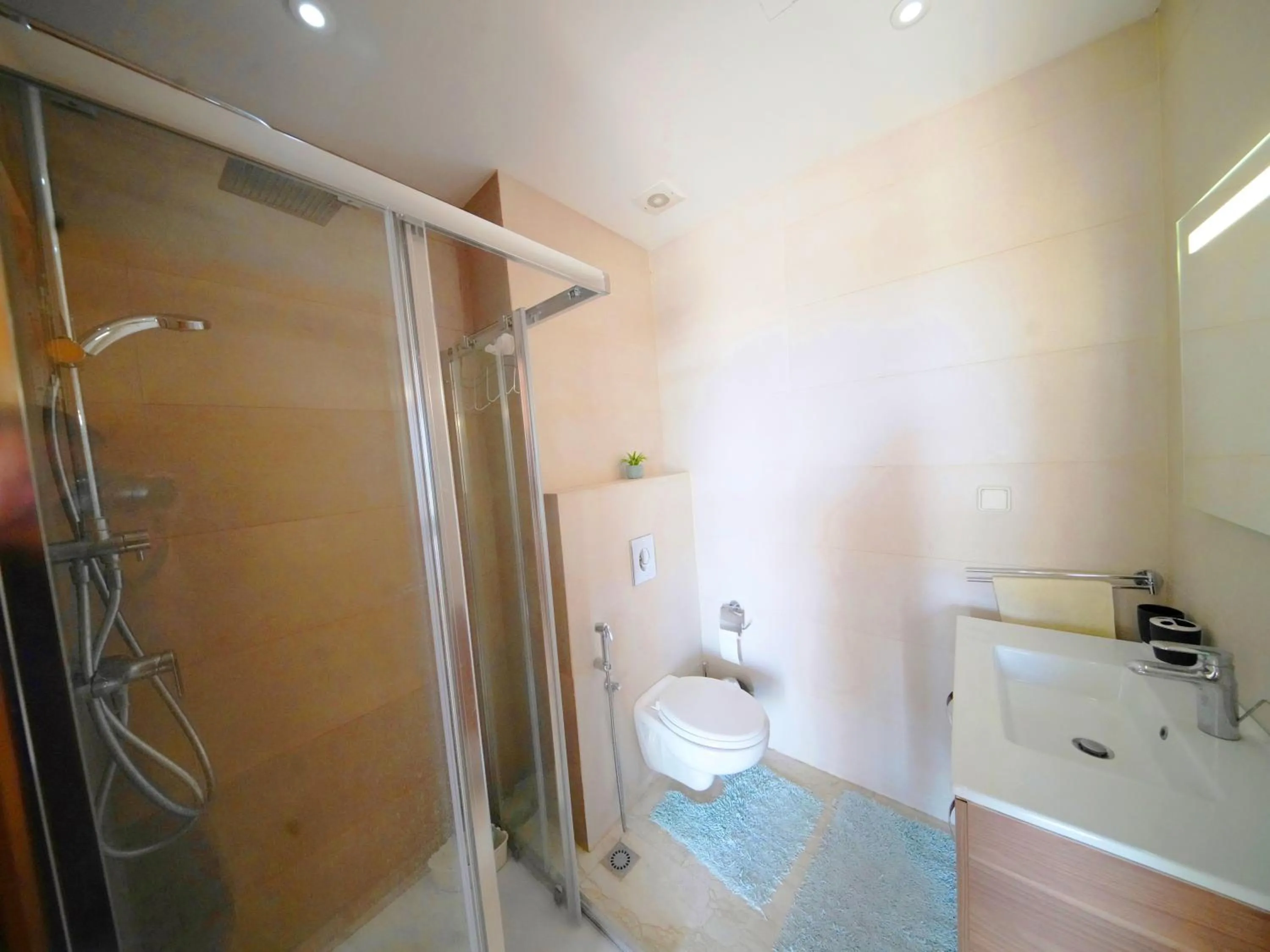 Bathroom in Geronticus apartment