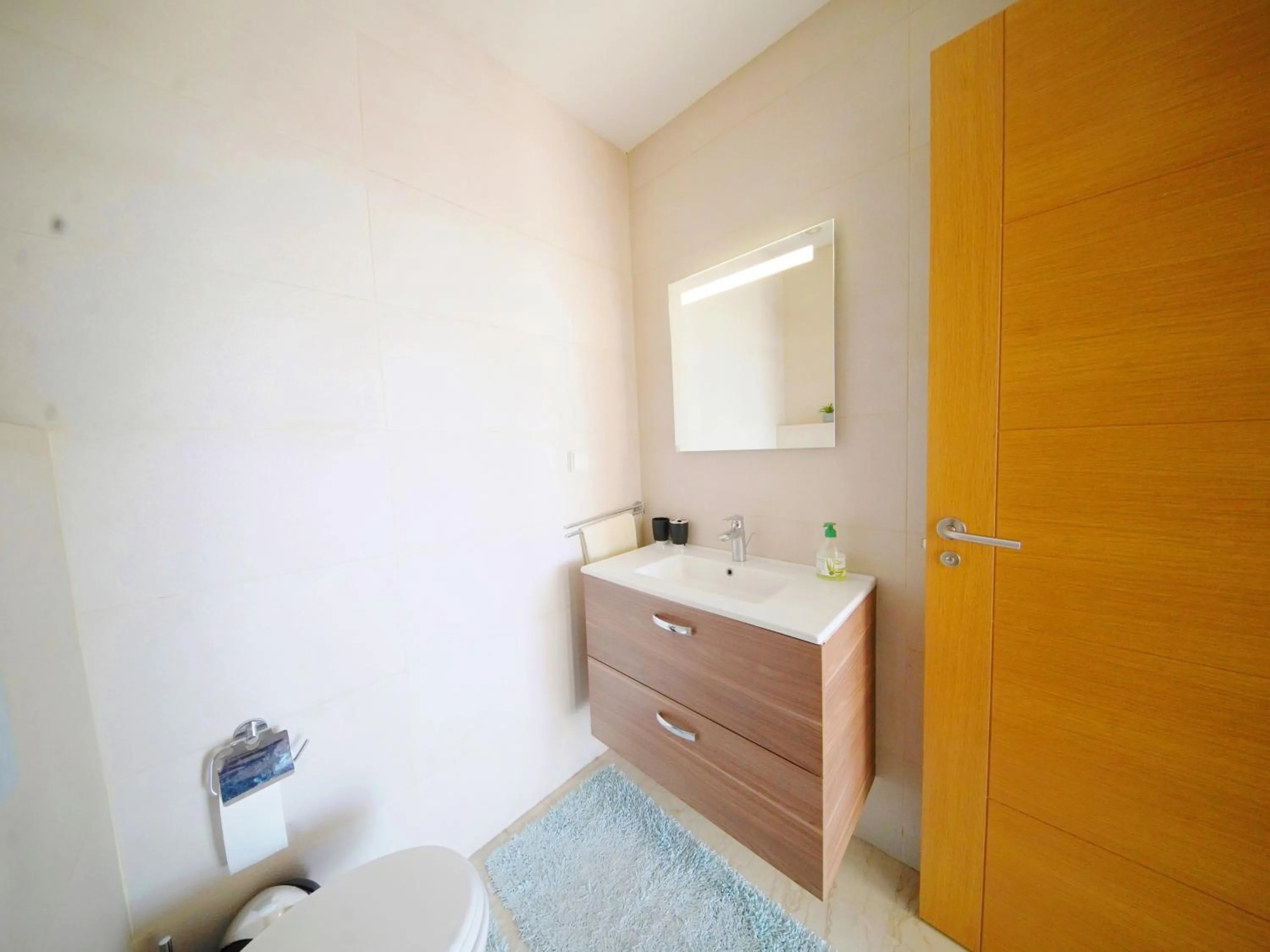 Bathroom in Geronticus apartment