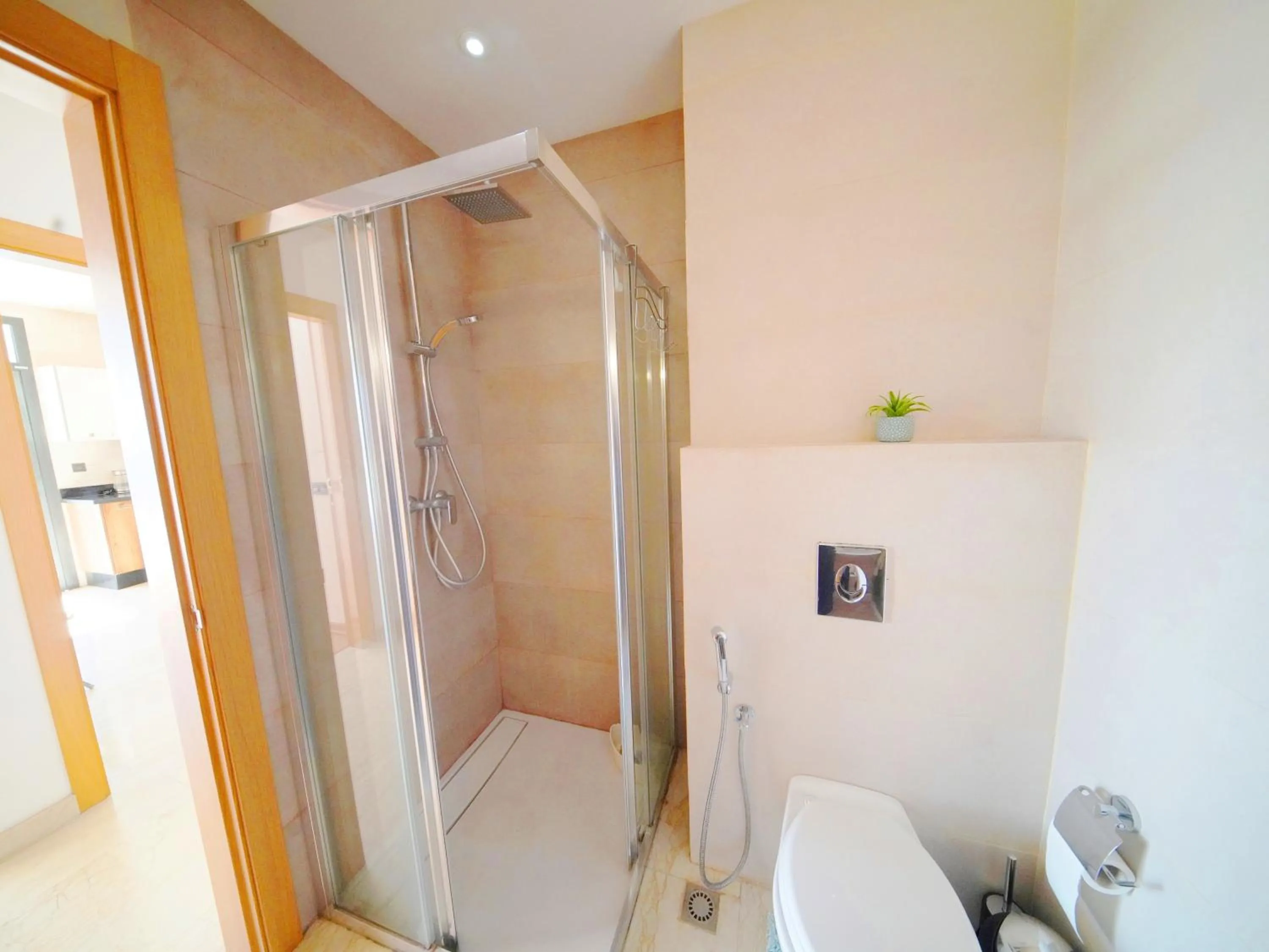 Bathroom in Geronticus apartment