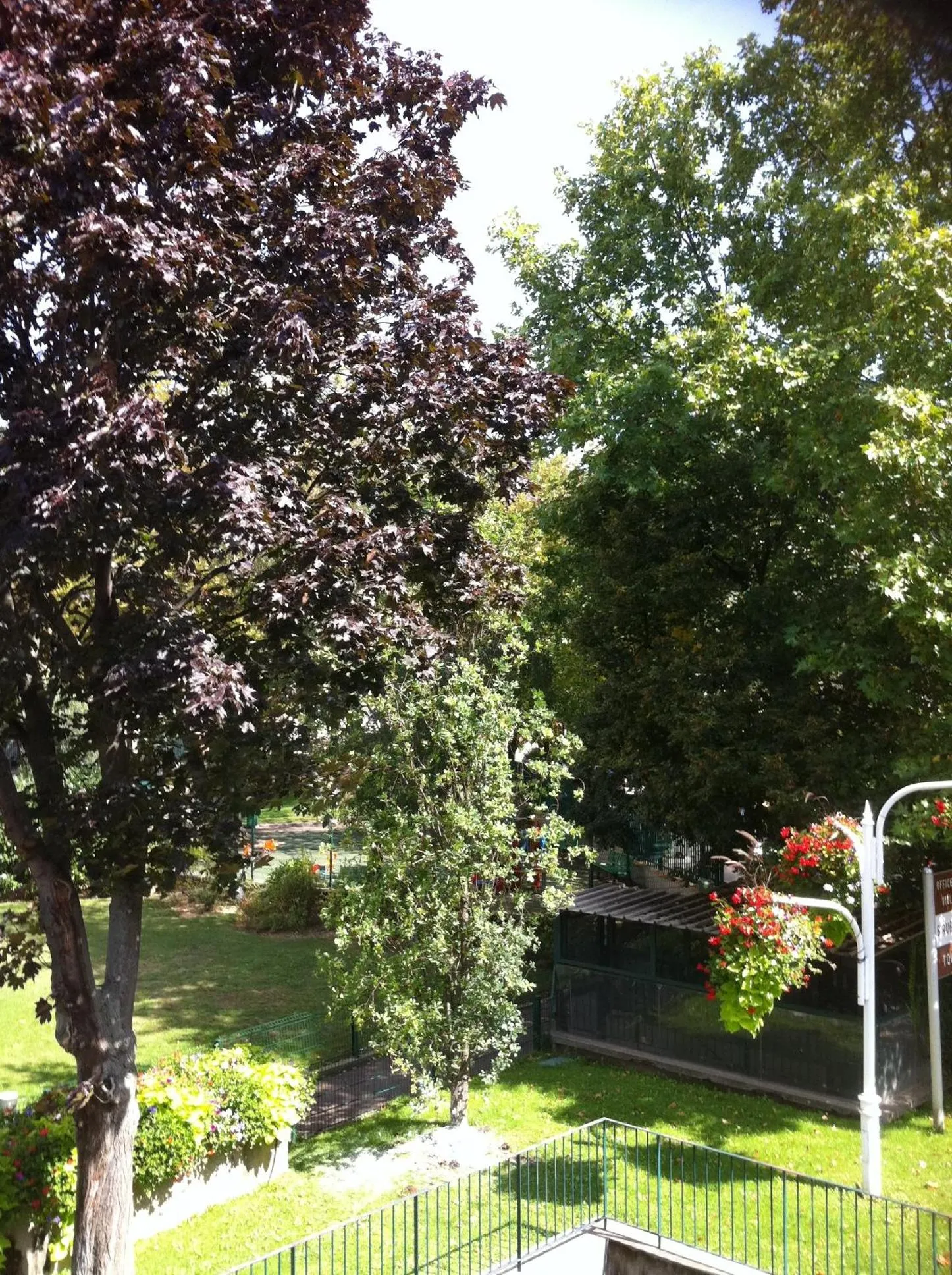 Garden in Hôtel du Parc