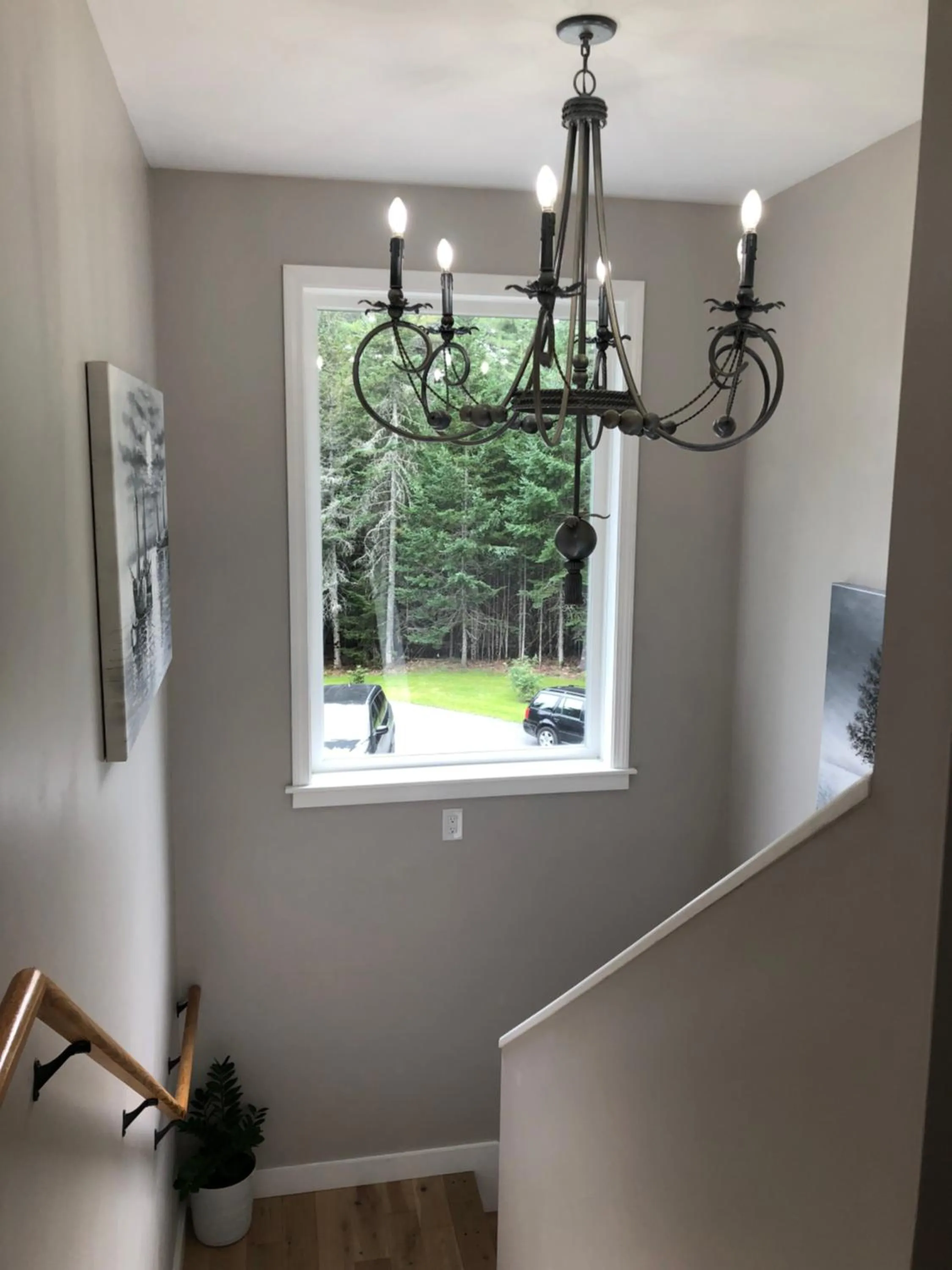 Garden view in The Mighty Oaks Retreat,modern house Bar Harbor Acadia MDI