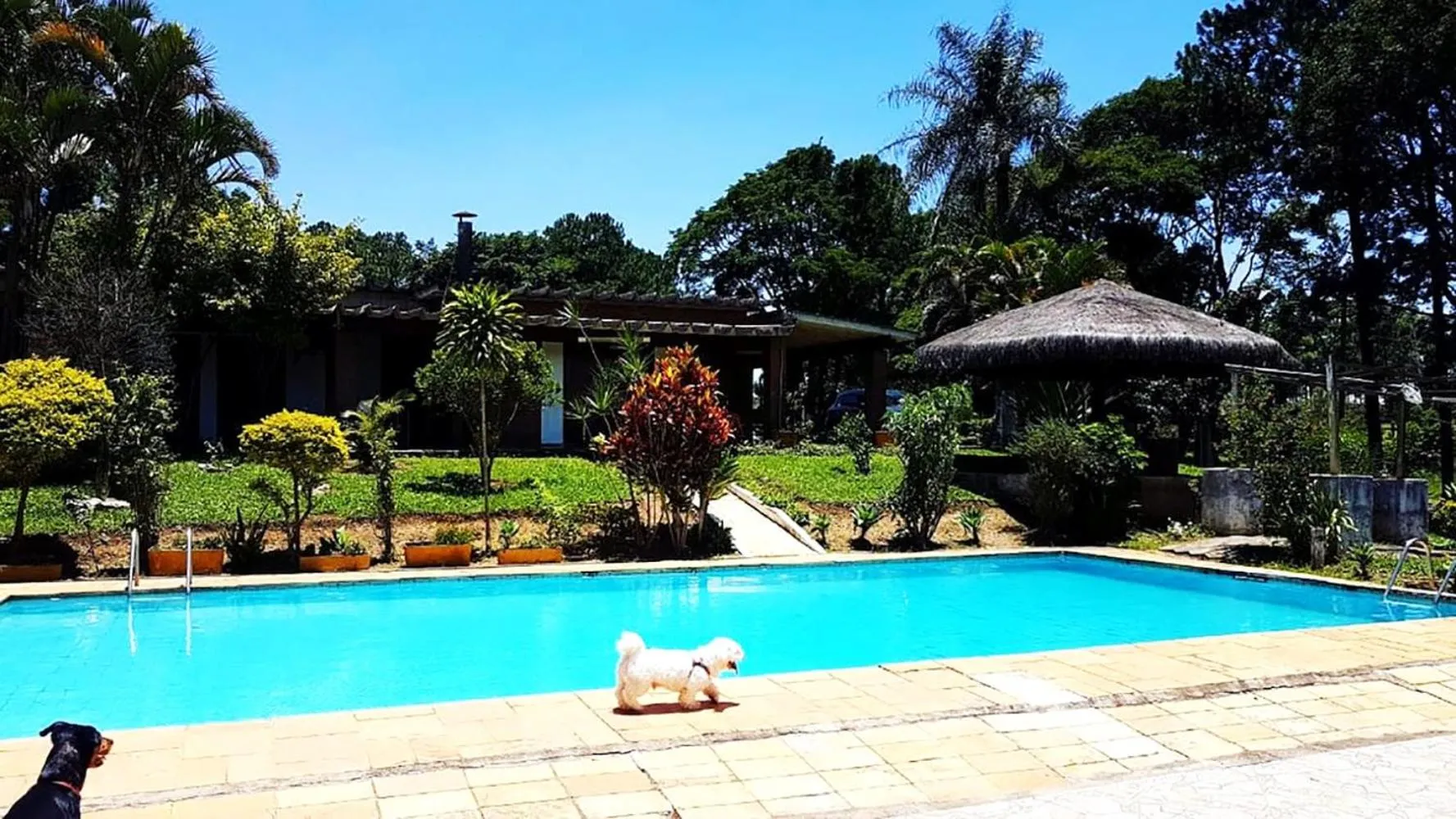 Casa de campo c piscina e churrasq - Mairipora - SP