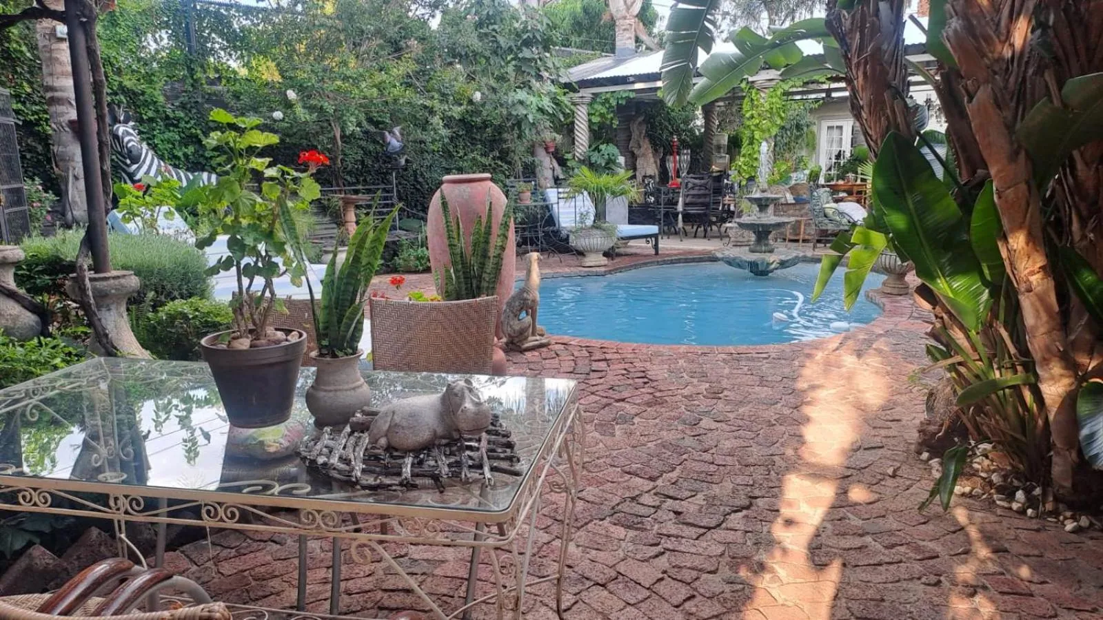 Garden in Michael-Angelo guest house
