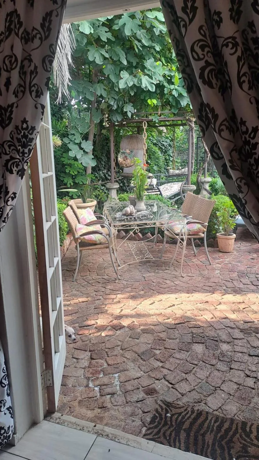 Patio in Michael-Angelo guest house
