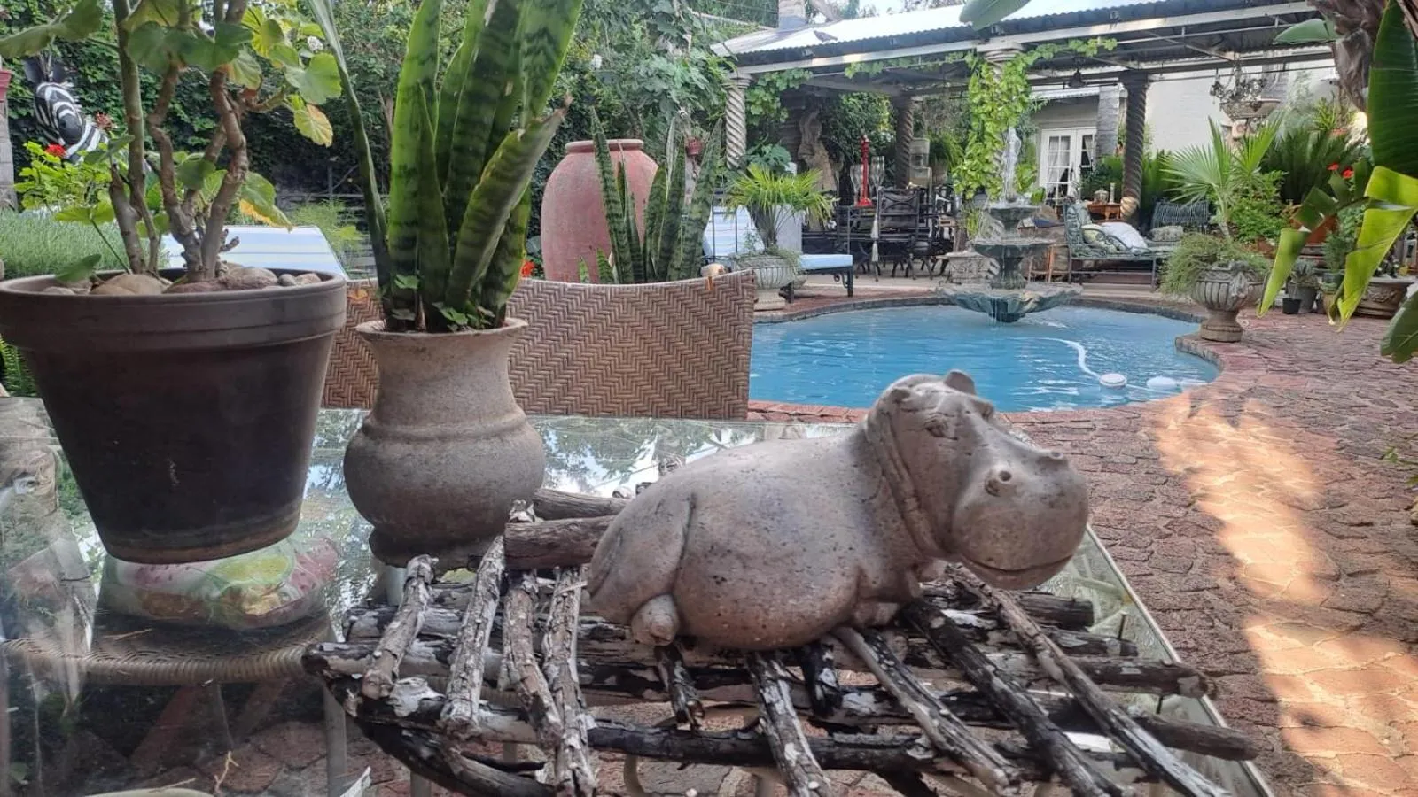 Garden view in Michael-Angelo guest house