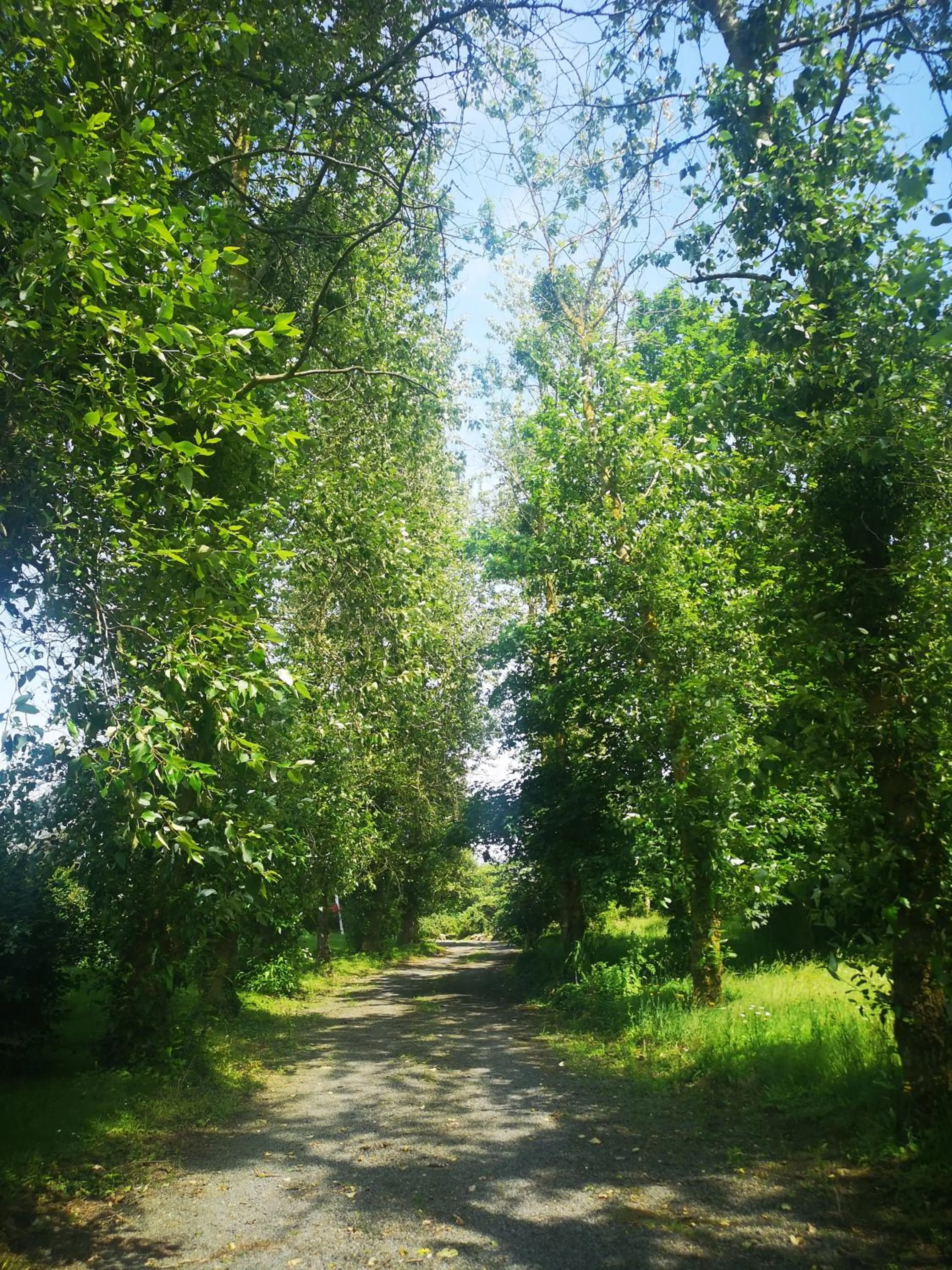Garden in La Bellevue Bréville - B&B