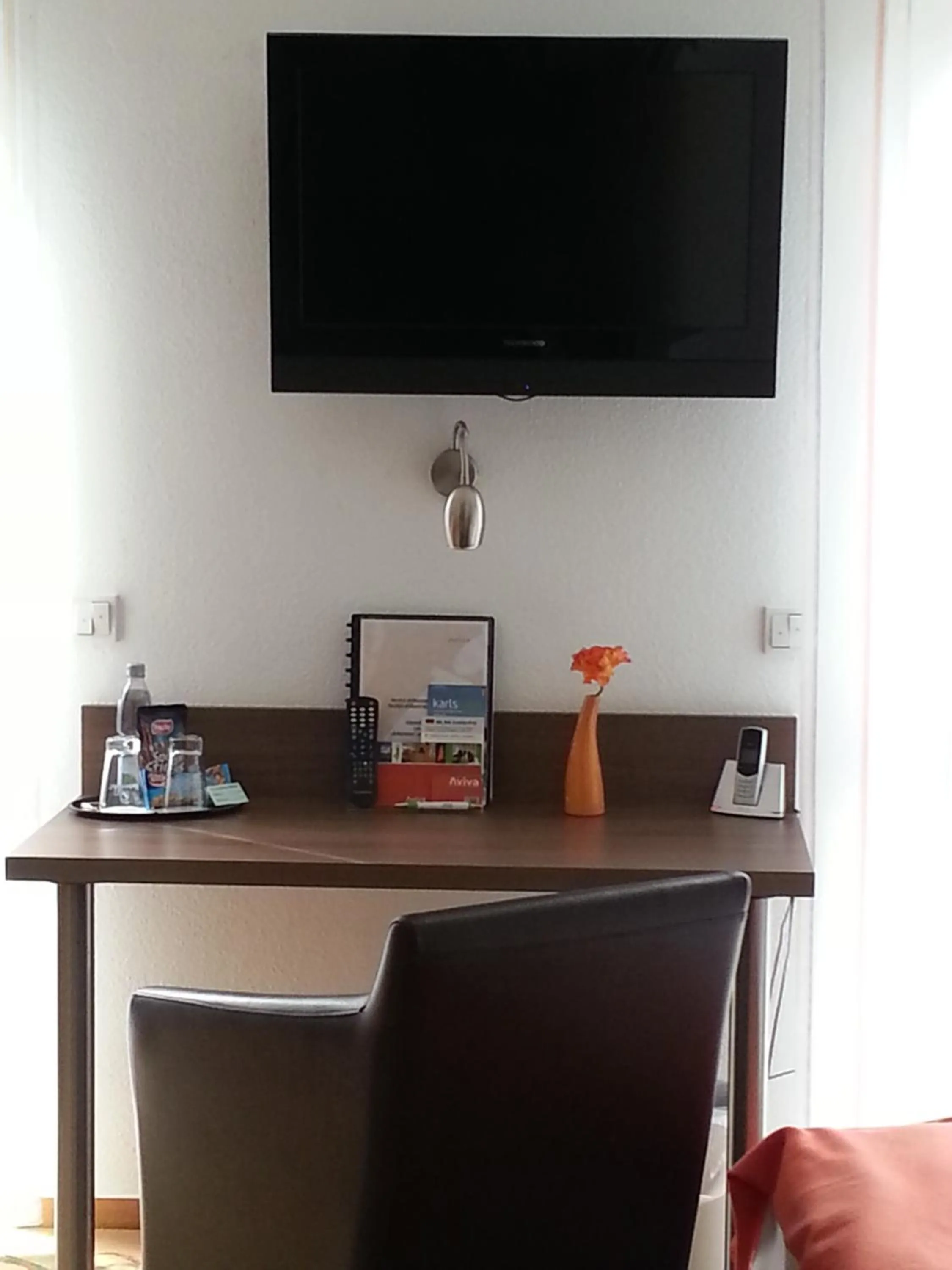 TV and multimedia in Hotel AVIVA by APOLONIA