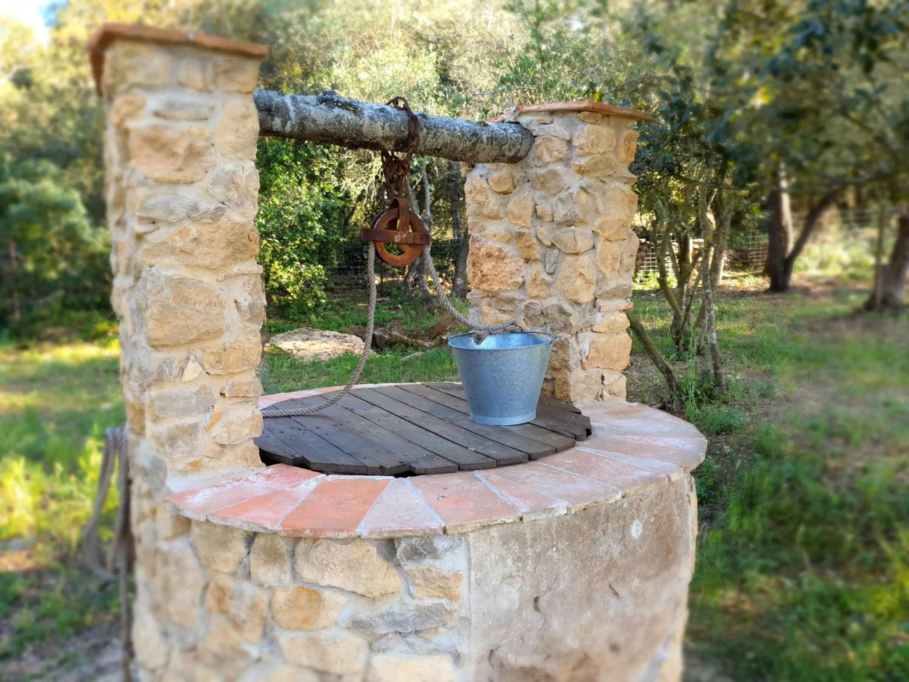 Garden in Can Costals Cerezo