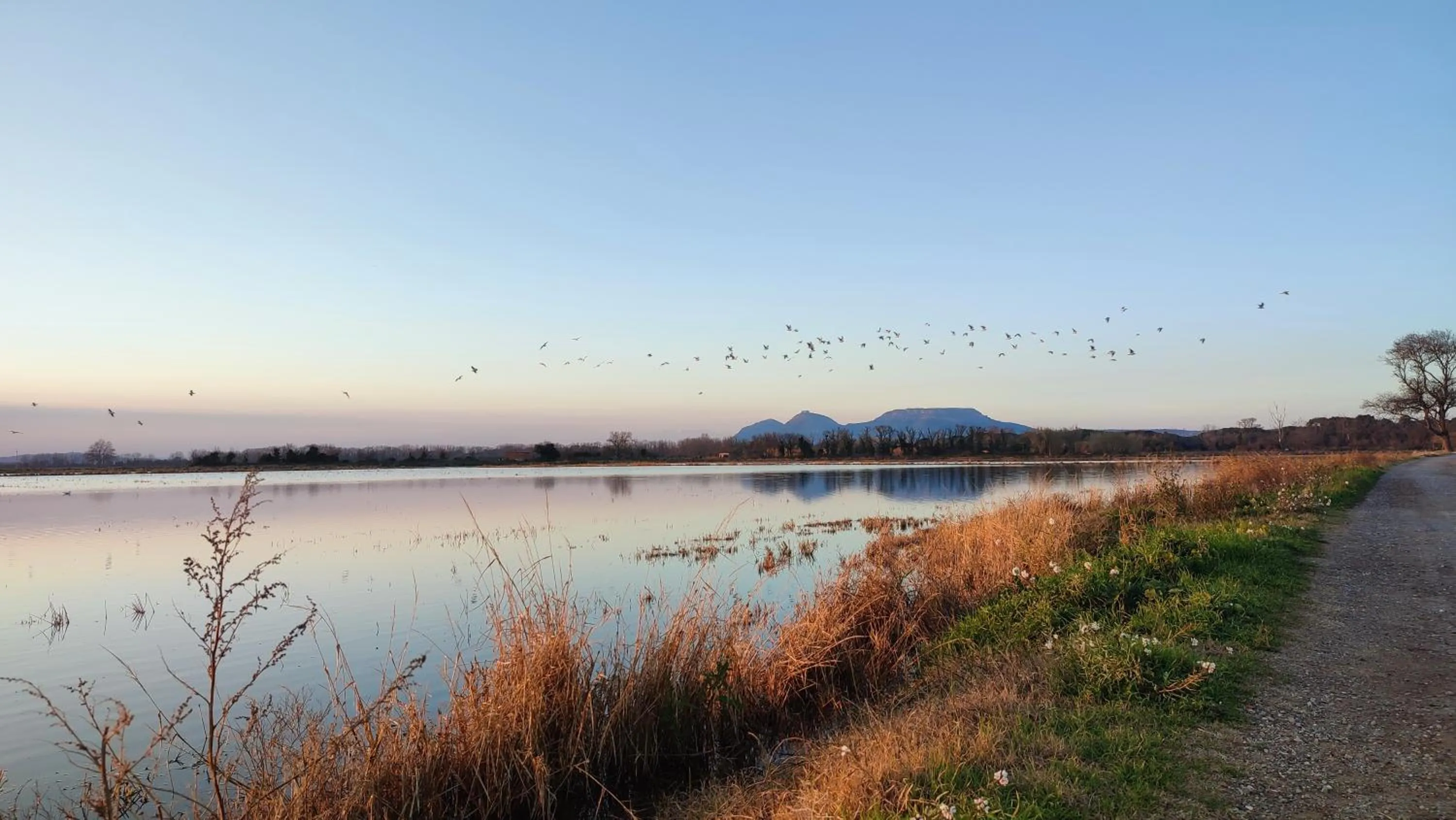 Nearby landmark in Can Costals Cerezo