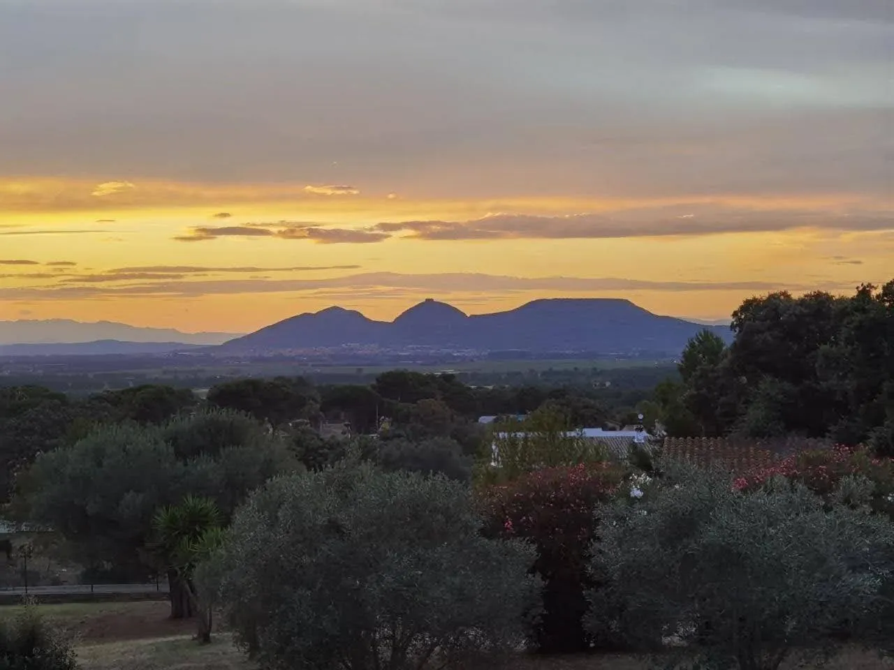 View (from property/room) in Can Costals Cerezo