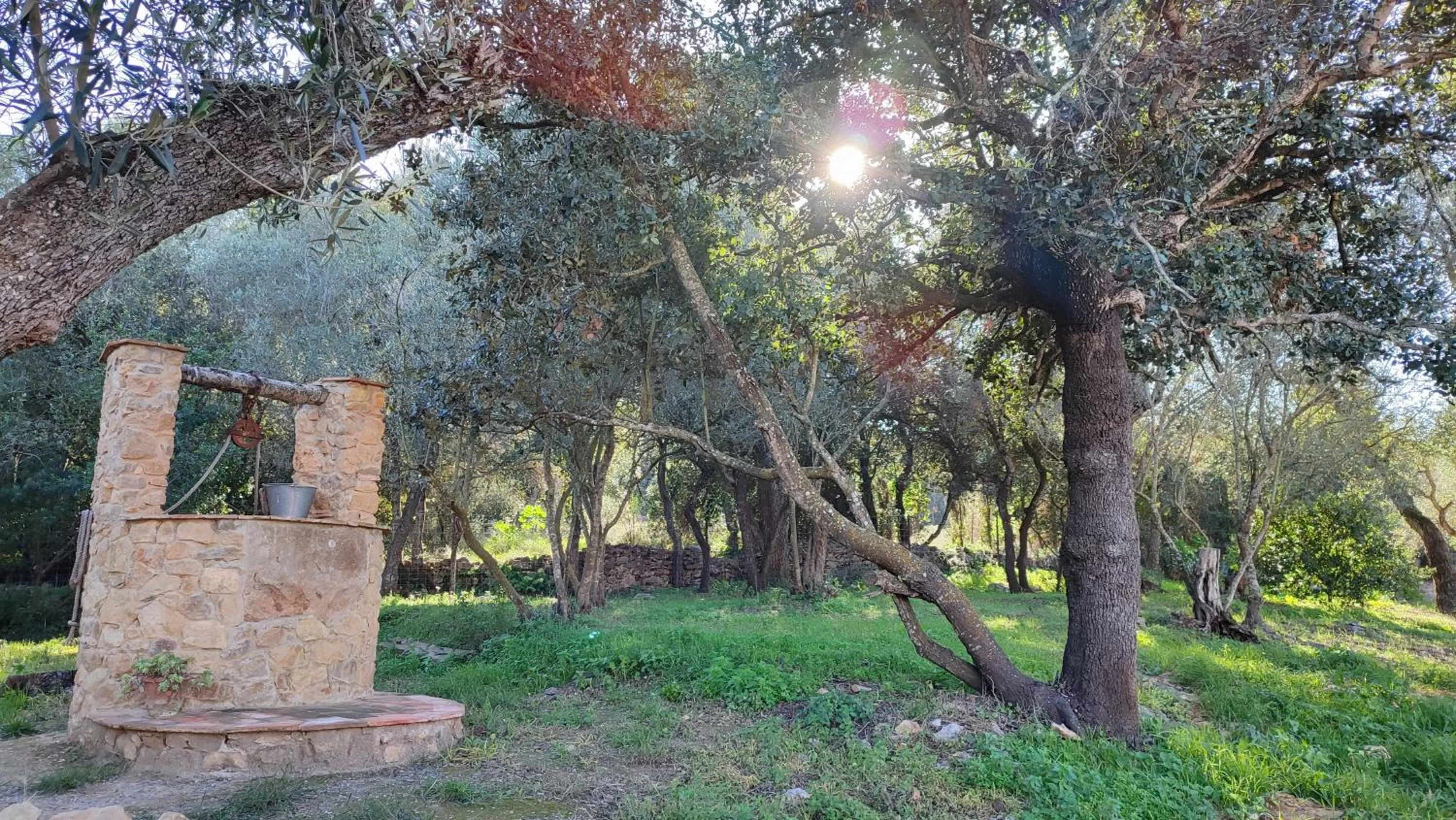 Off site in Can Costals Cerezo