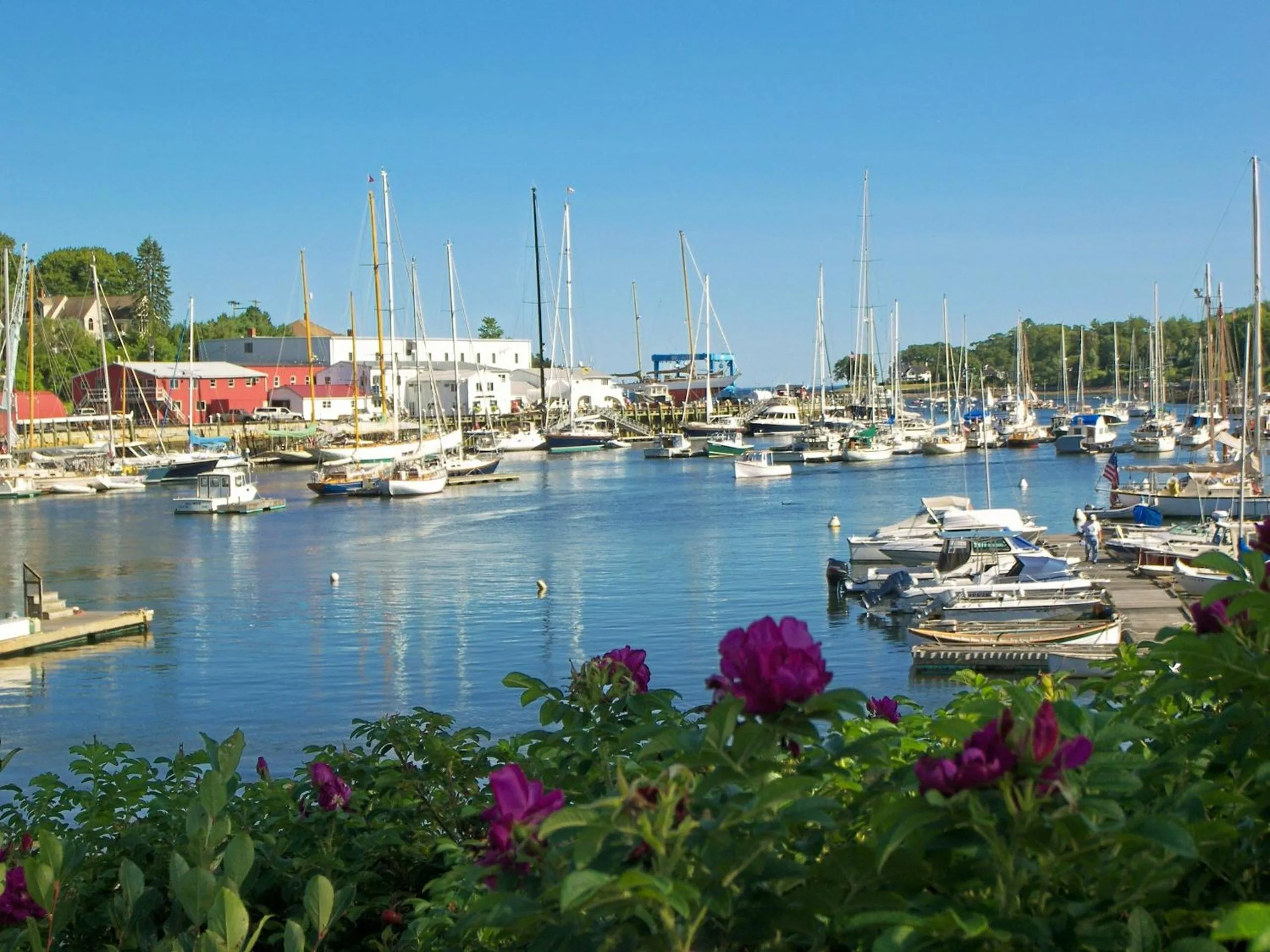 Natural landscape in Cedar Crest Inn