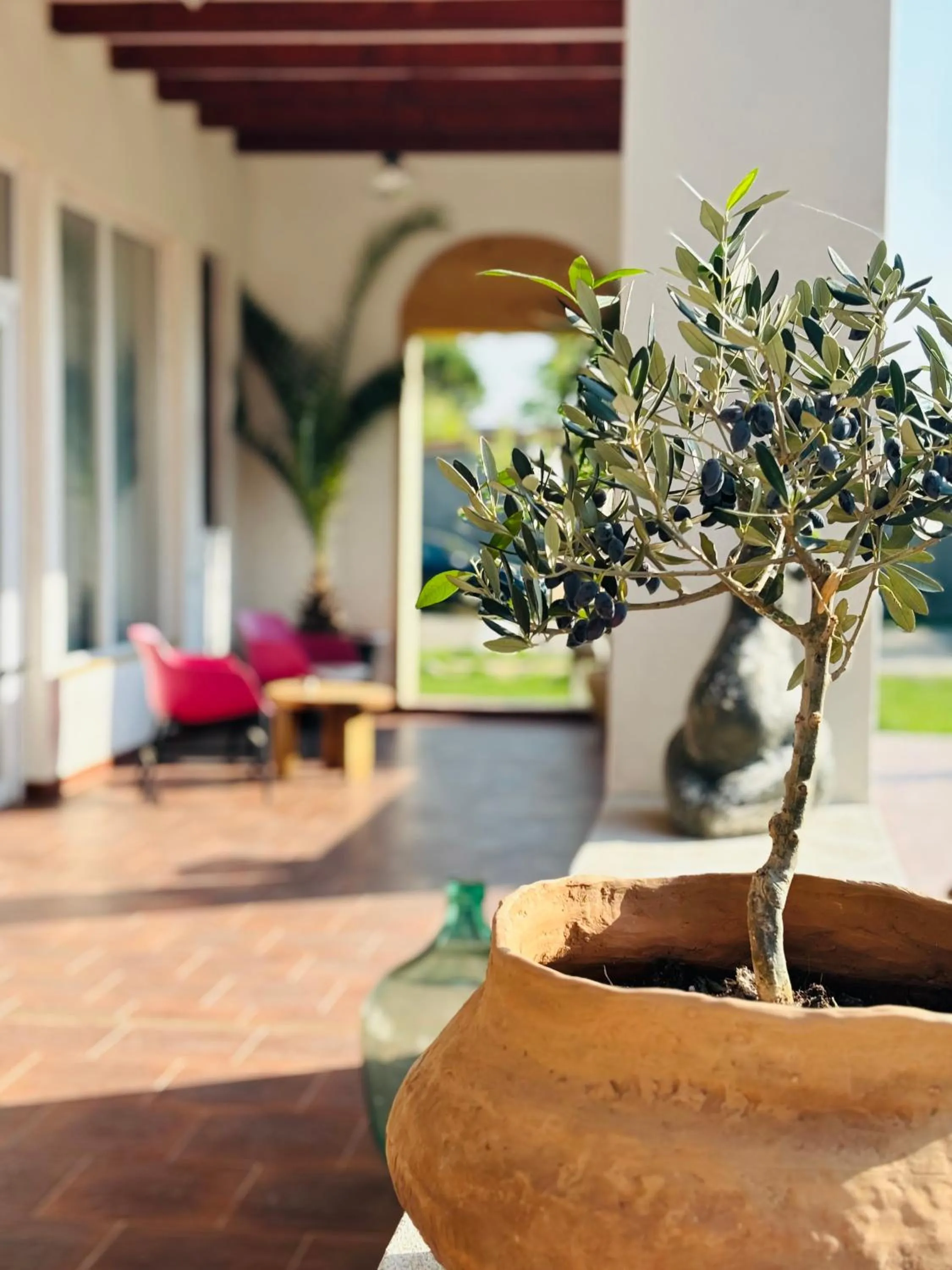 Elma Guesthouse