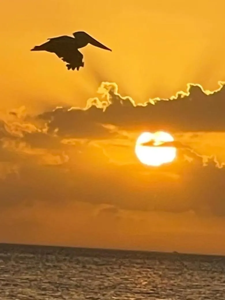 Sunset in Welcome To The Paradise