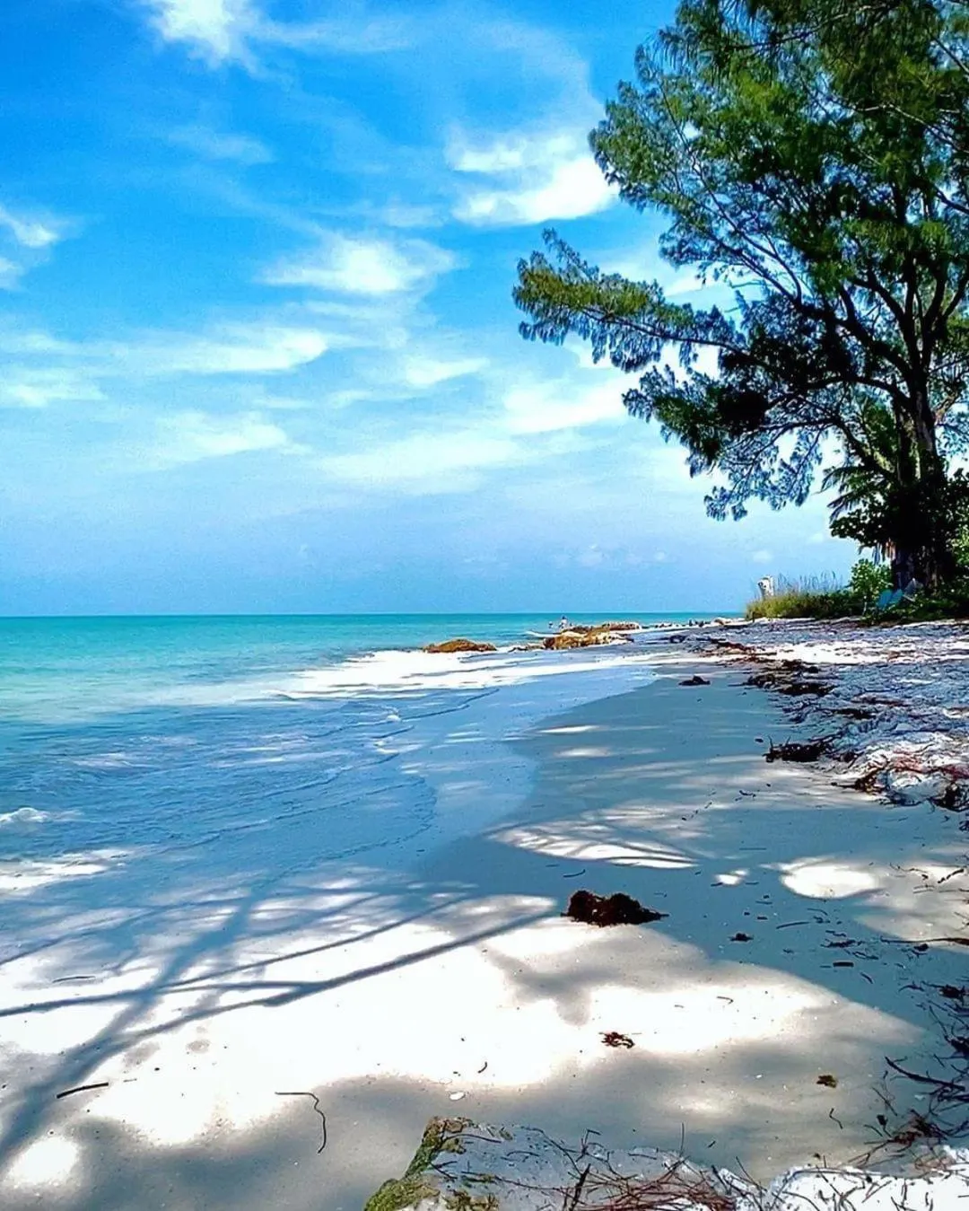 Beach in Welcome To The Paradise