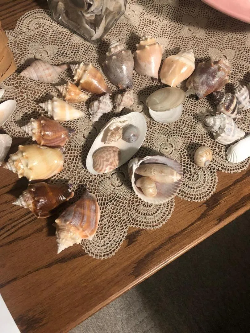 Beach in Welcome To The Paradise