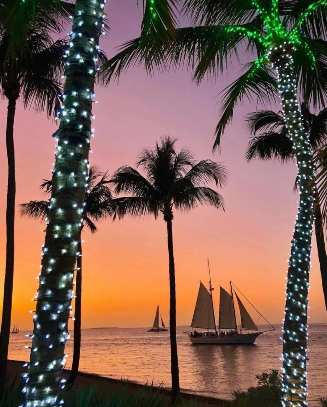 Sunrise in Welcome To The Paradise