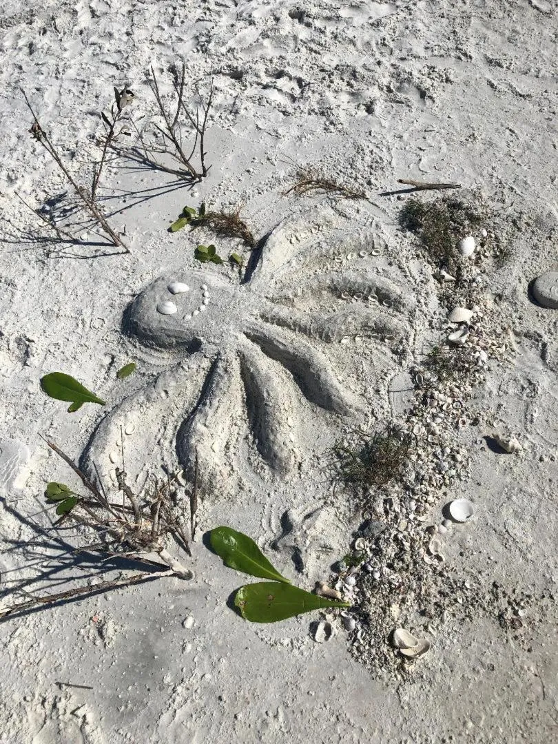 Beach in Welcome To The Paradise