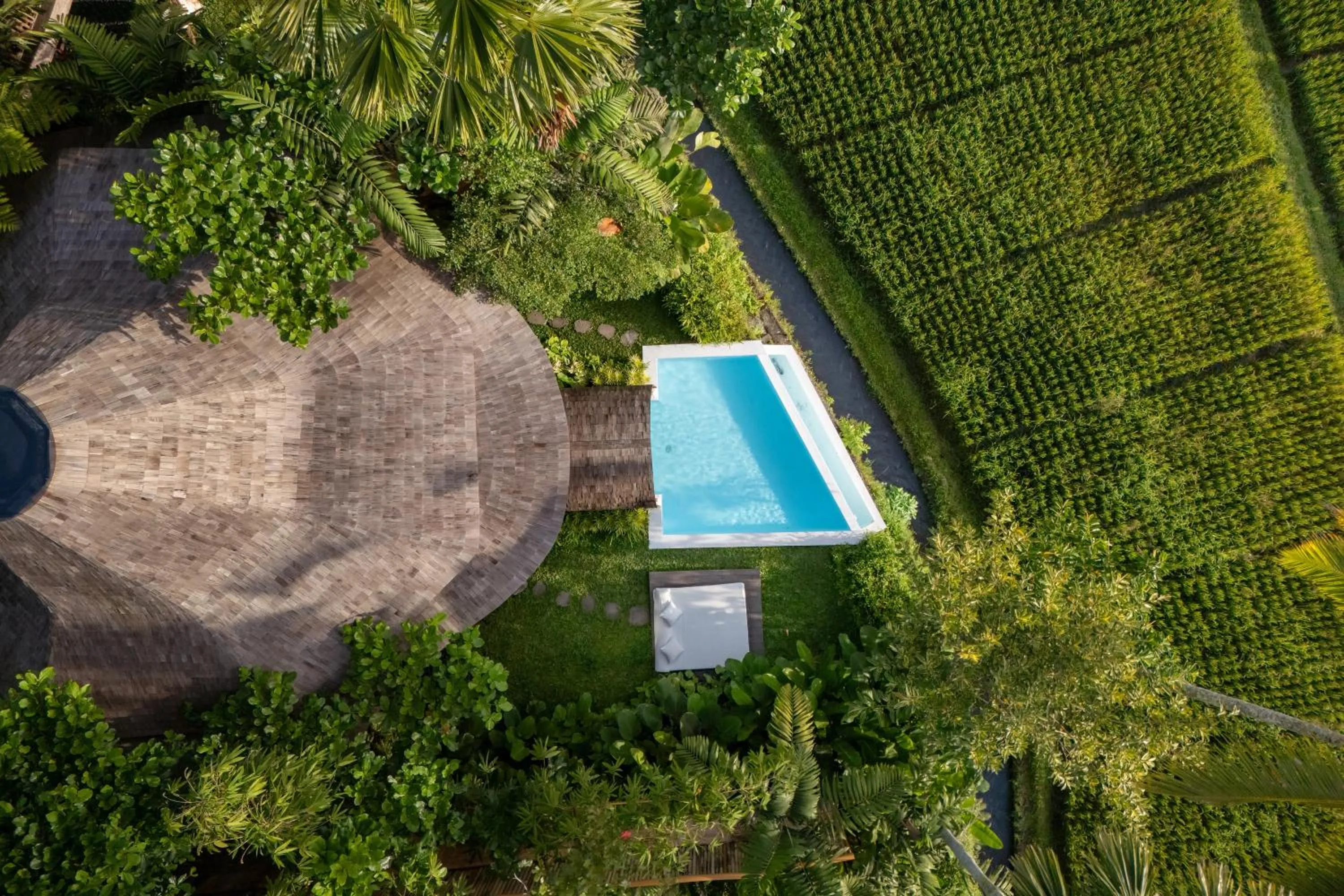 Spring in Eco Six Bali