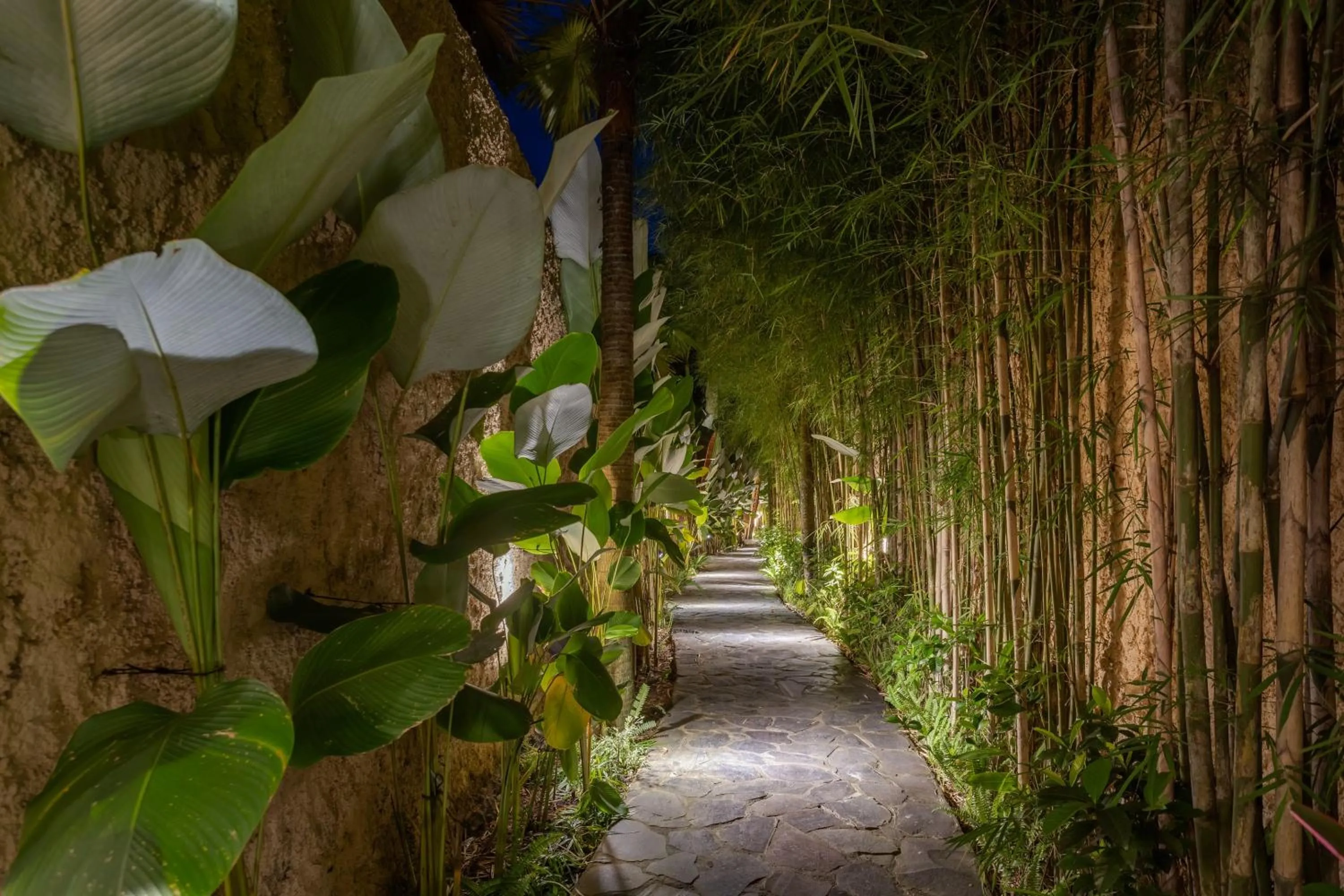 Garden in Eco Six Bali