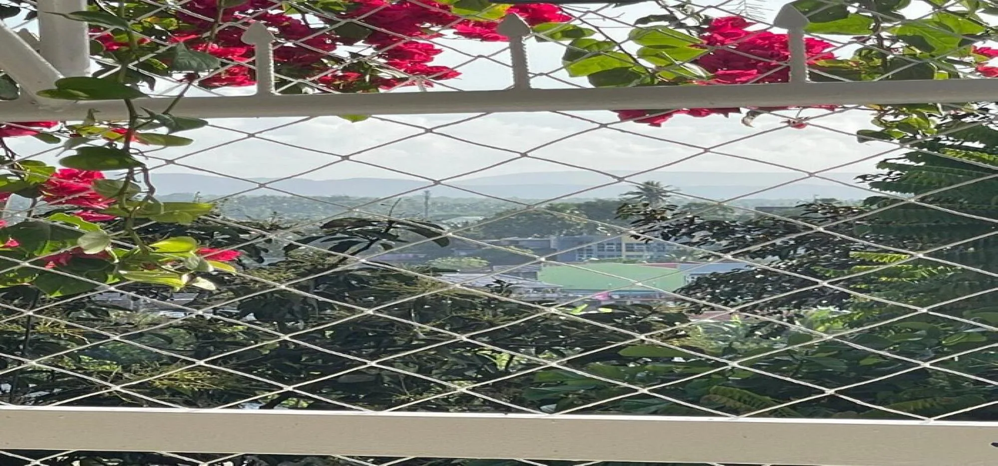 Garden in RedDoorz at S & L Apartelle Daraga Albay