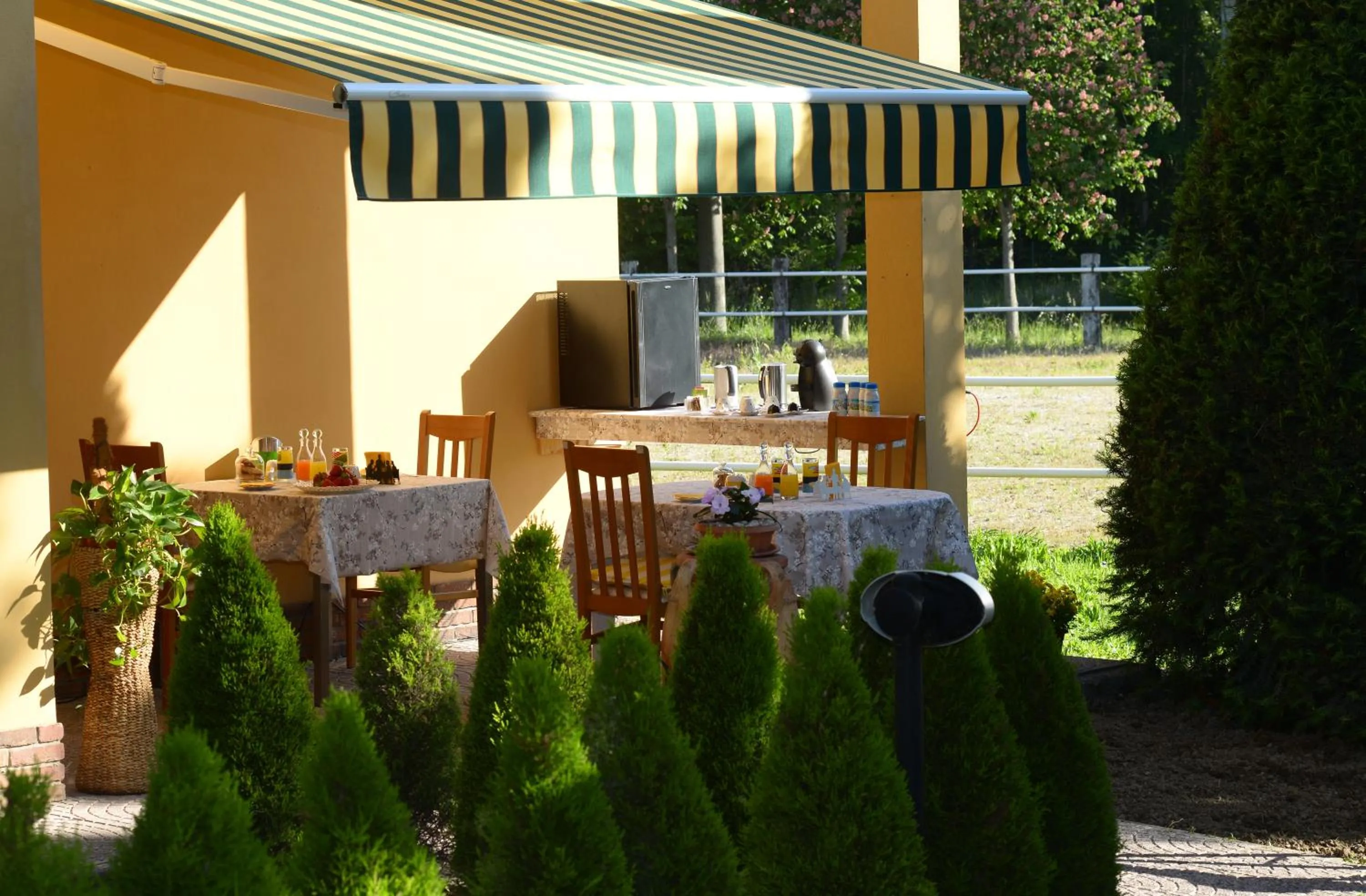 Patio in Pidkova