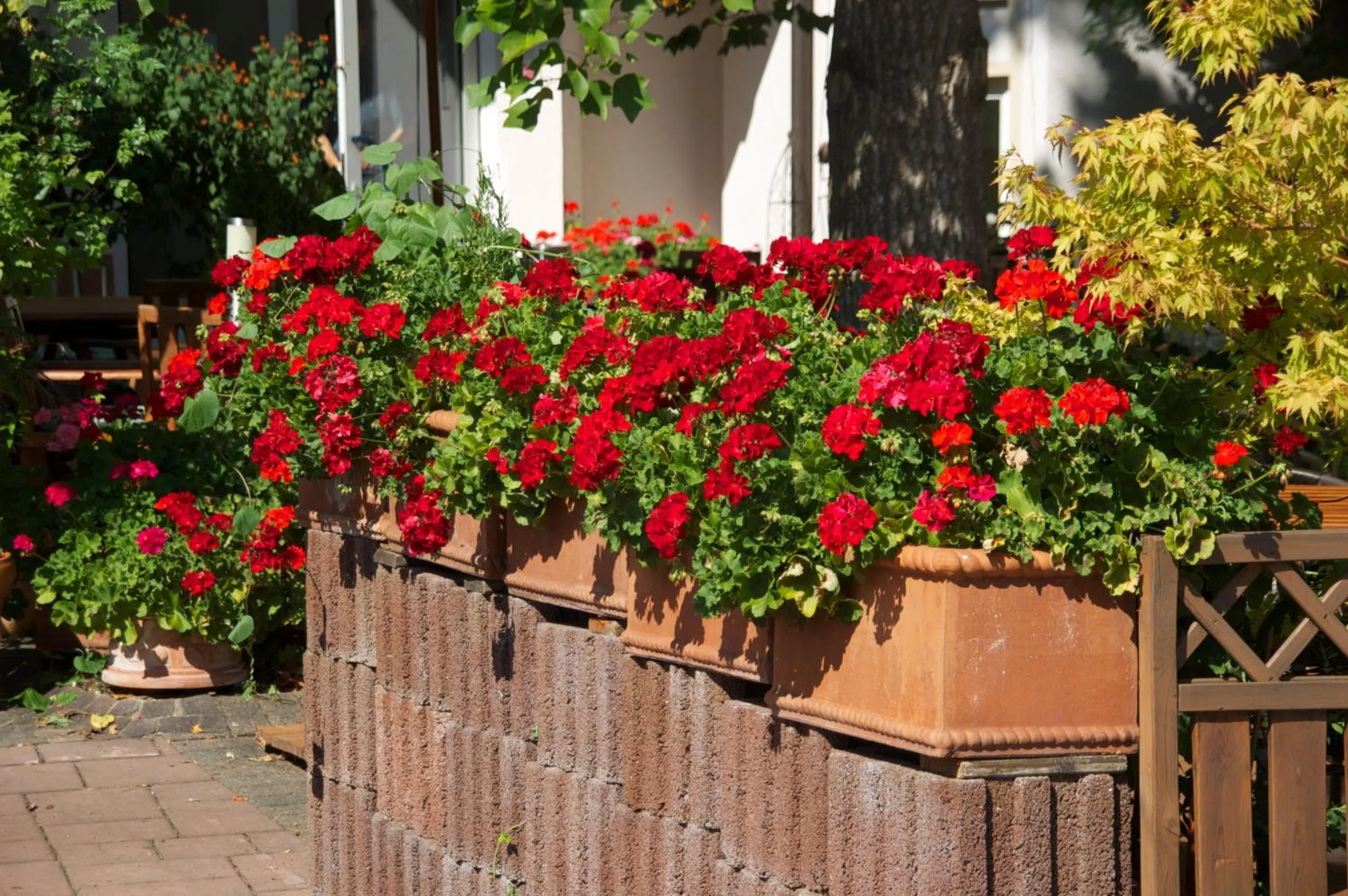 Other in Hotel Hirsch