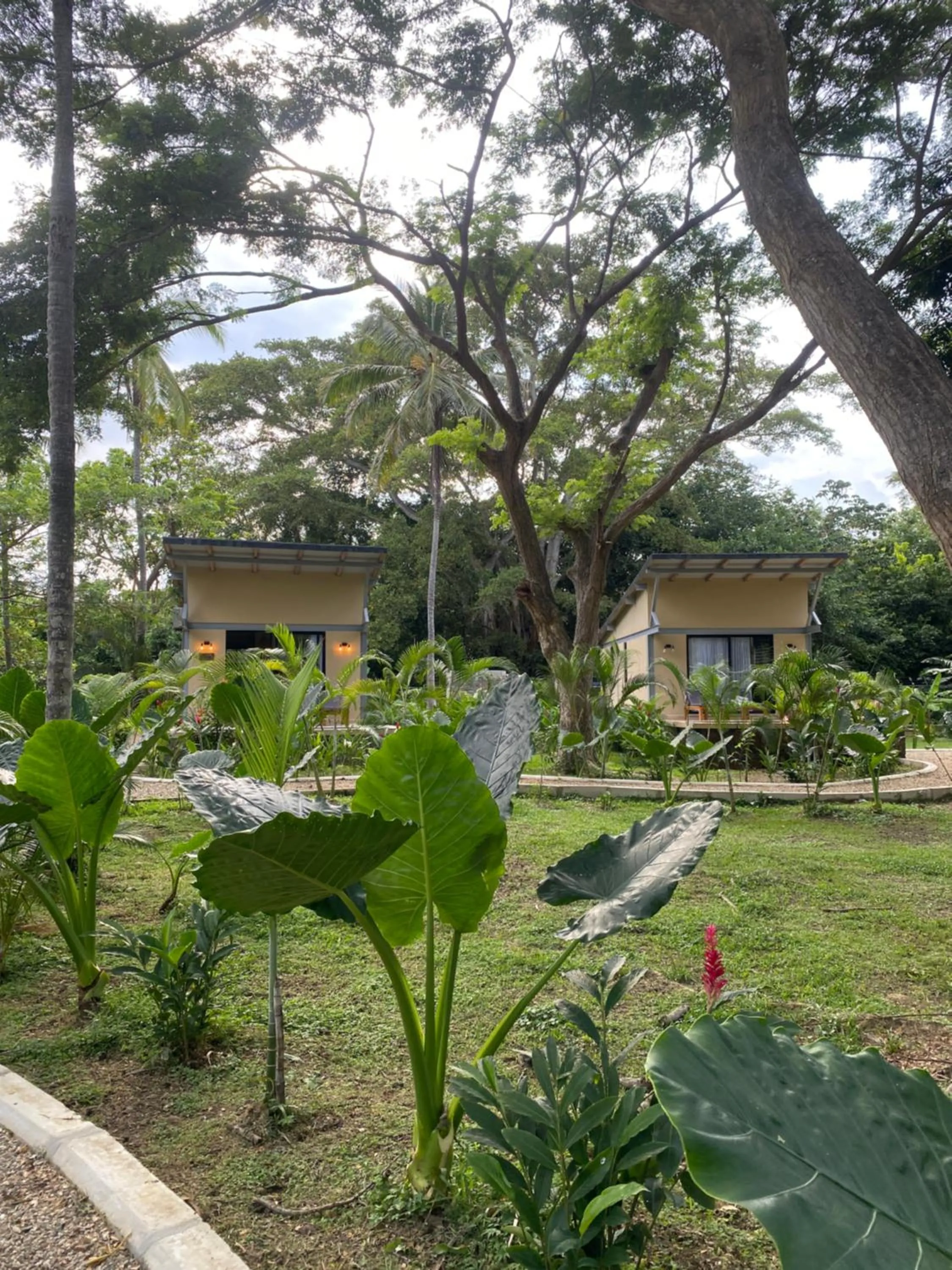 Natural landscape in Gardenia Springs - La Finca Buritaca